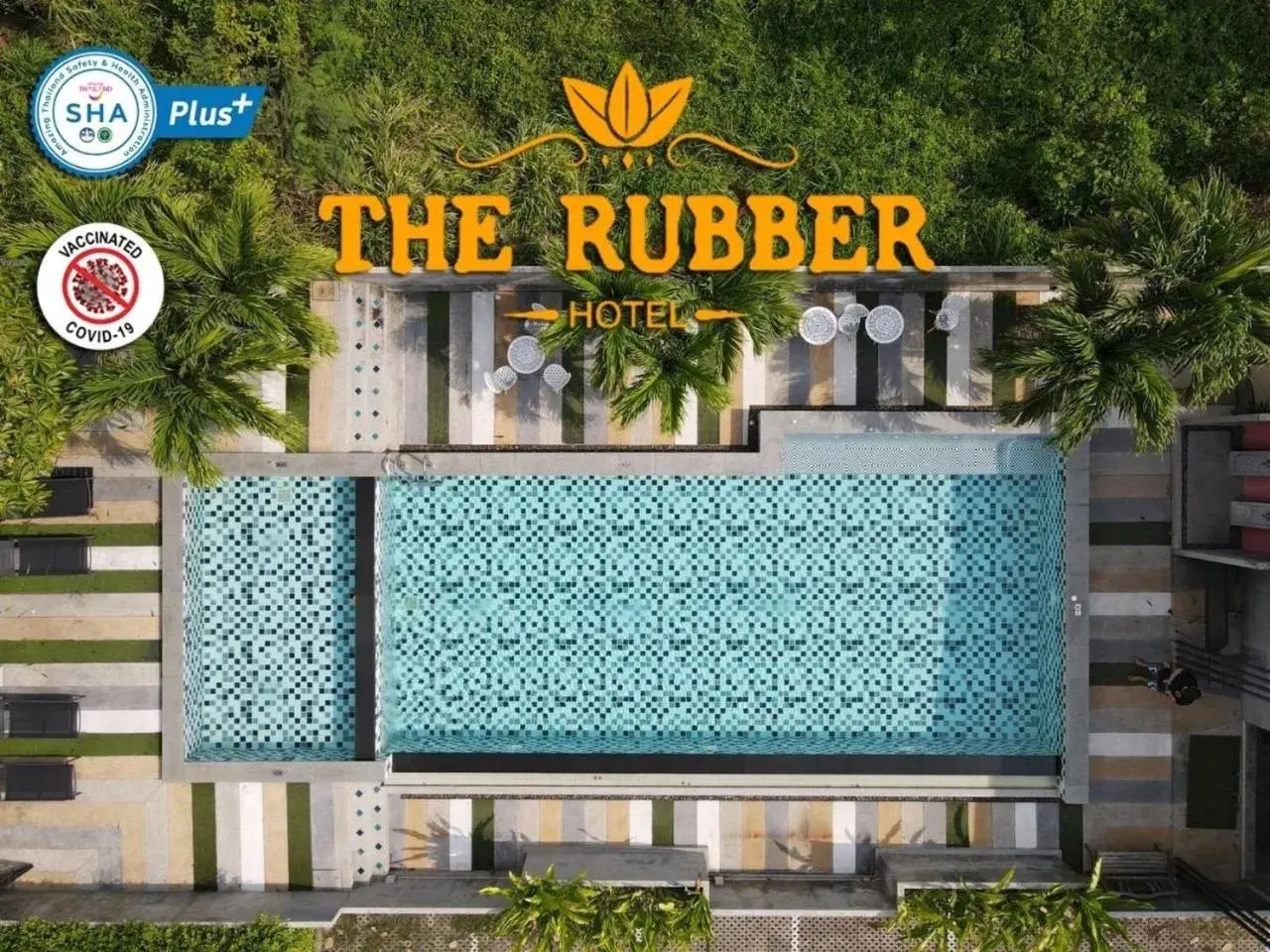 Swimming pool in The Rubber Hotel Phuket Swimming pool in The Rubber Hotel Phuket