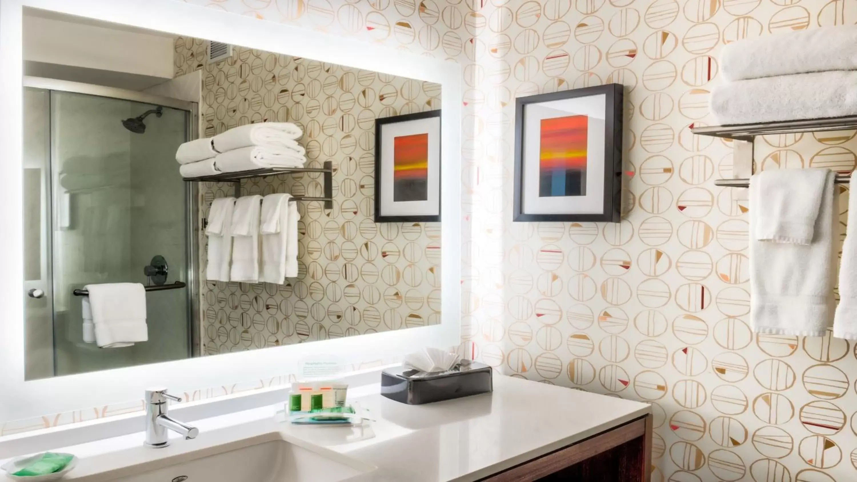 Bathroom in Holiday Inn & Suites Phoenix-Mesa-Chandler, an IHG Hotel