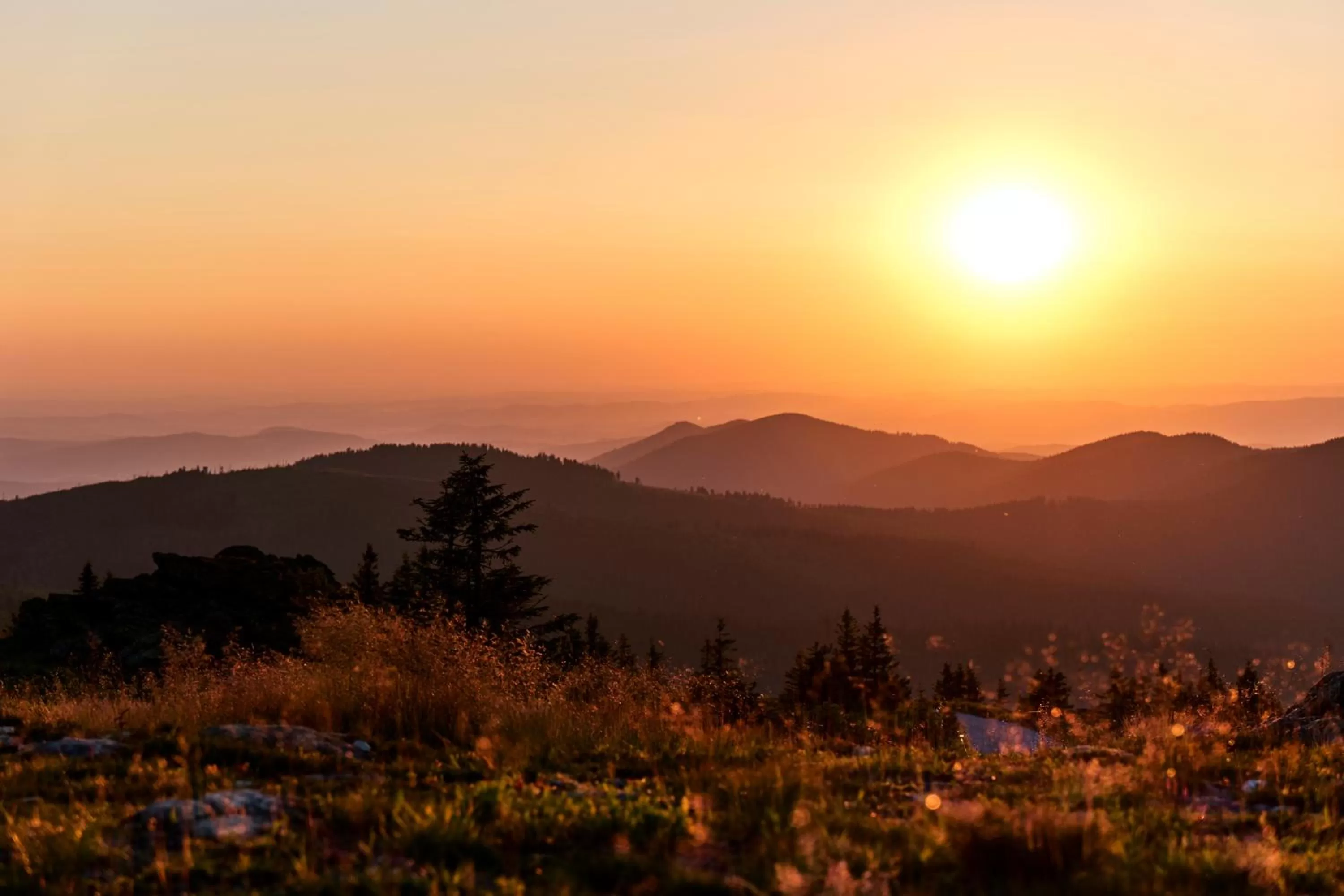 View (from property/room) in Wander und Aktiv Hotel Rösslwirt