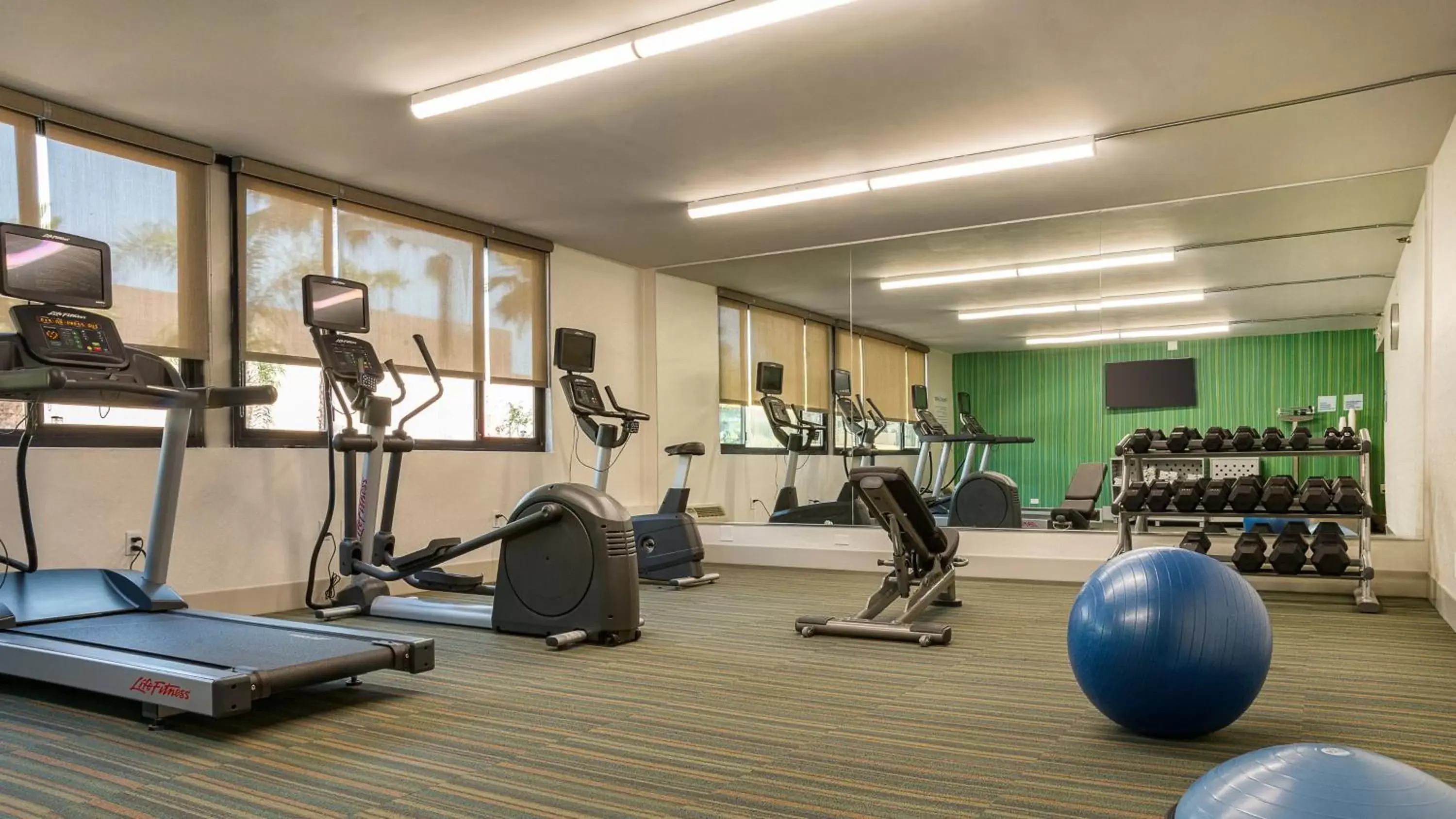Fitness centre/facilities, Fitness Center/Facilities in Holiday Inn Express Fullerton-Anaheim, an IHG Hotel