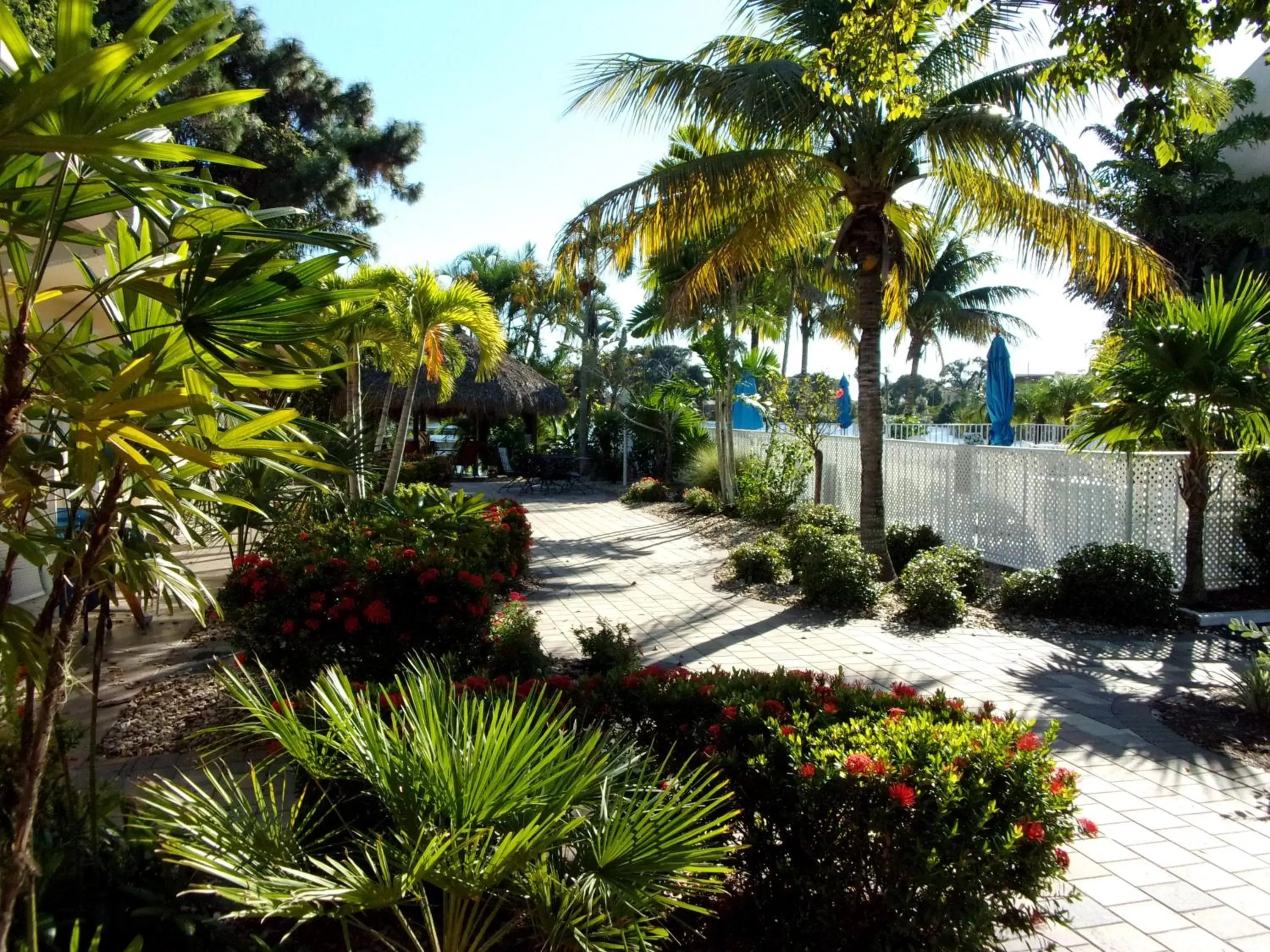 Garden in Marco Island Lakeside Inn