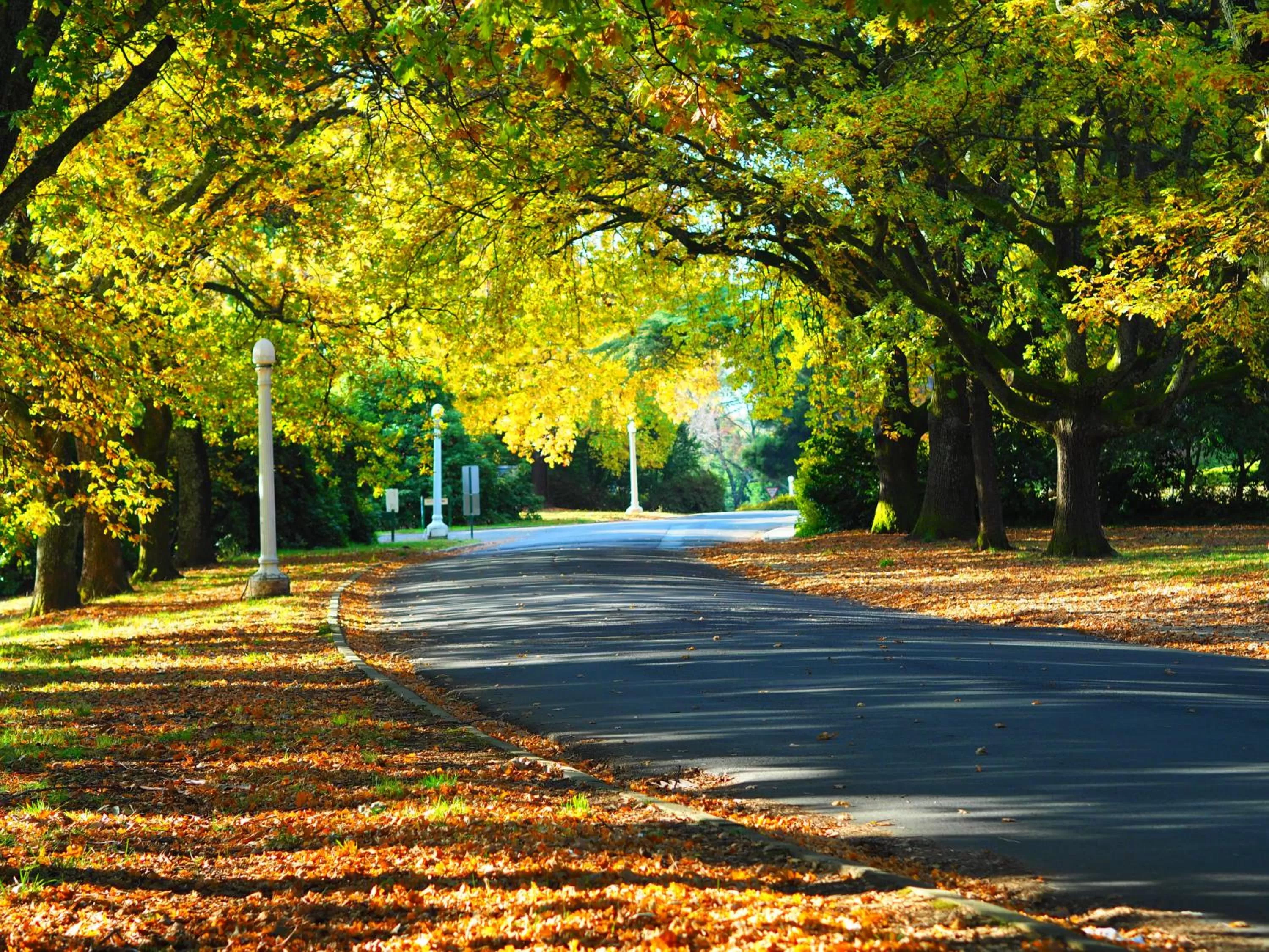 Garden in Linaker Art Deco Motel