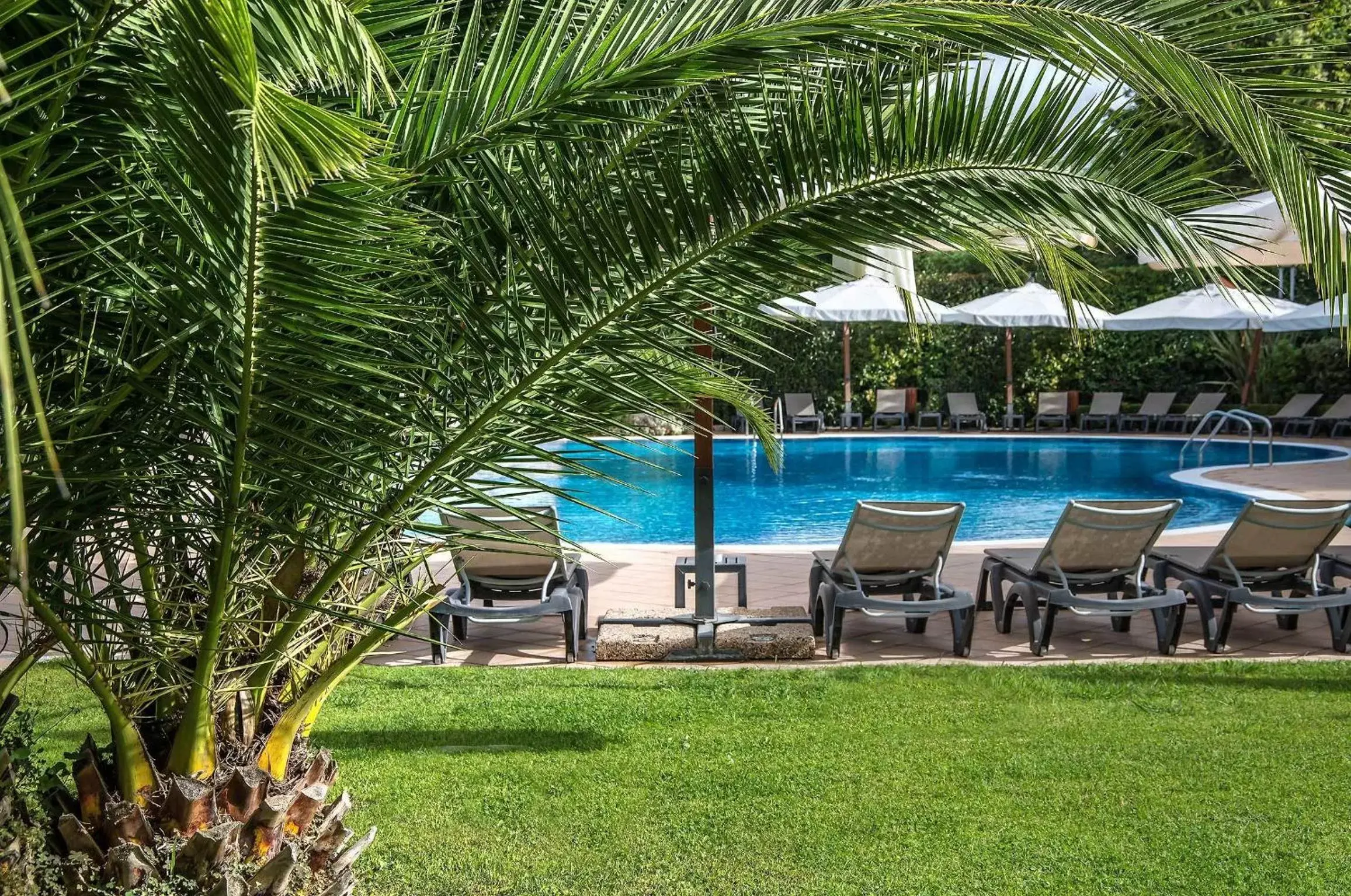 Garden, Swimming Pool in Hotel La Giocca