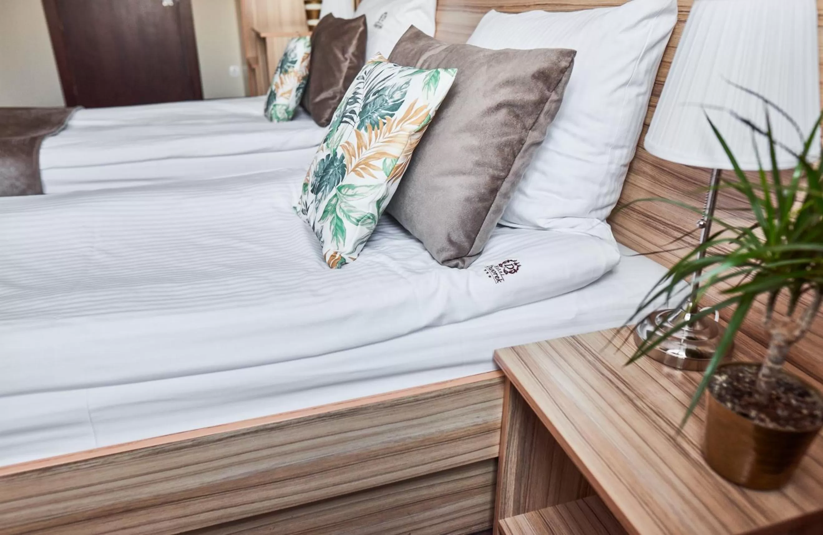 Double Room with Terrace in Dworek