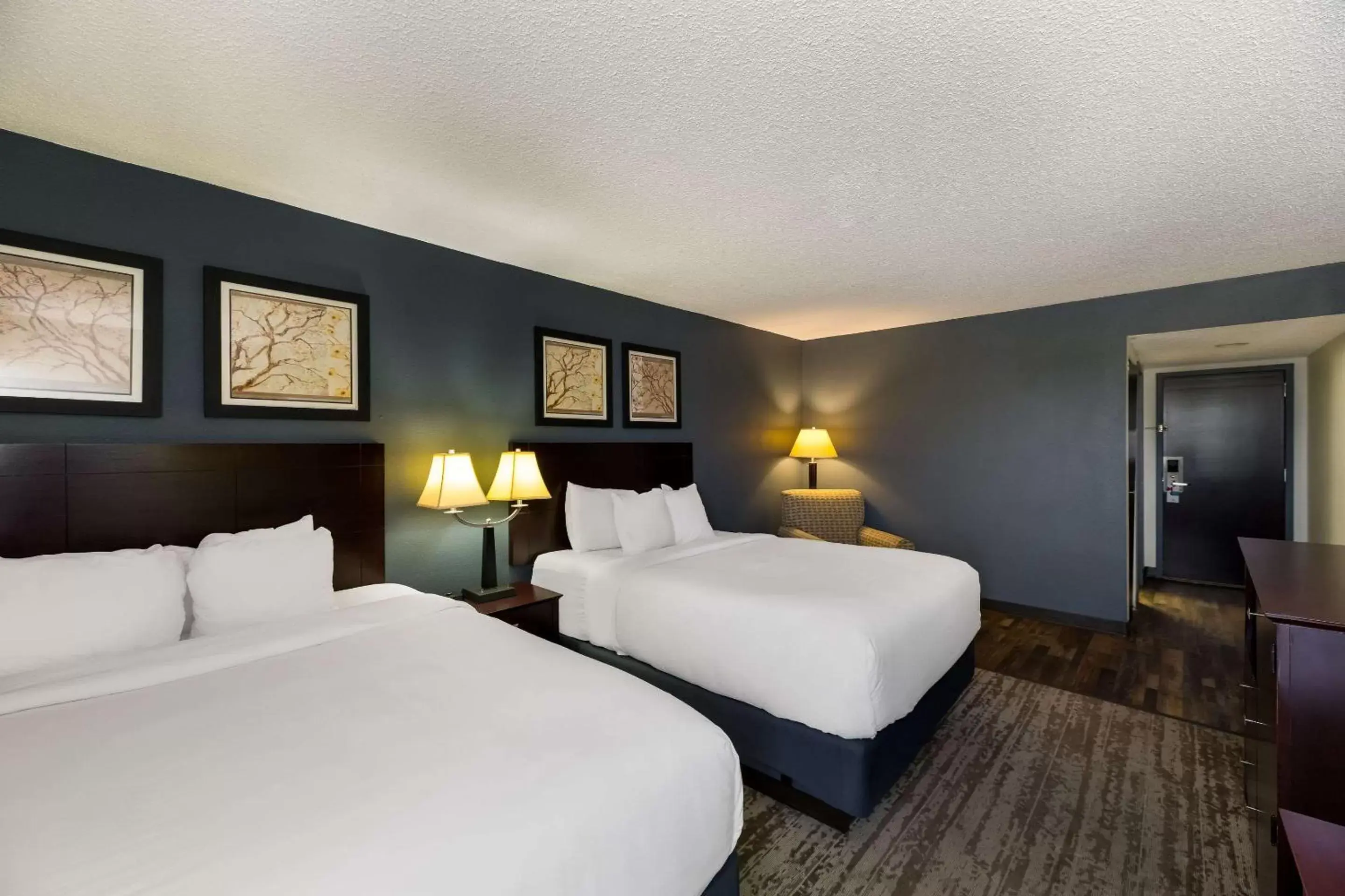 Bedroom, Bed in Clarion Hotel San Angelo near Convention Center