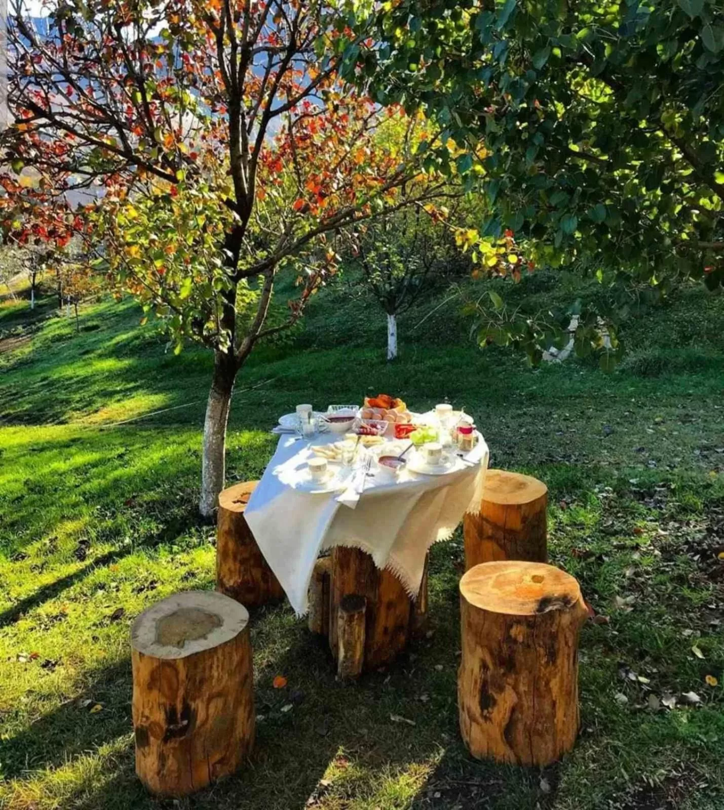 Spring in Guest House Ijevan's Garden