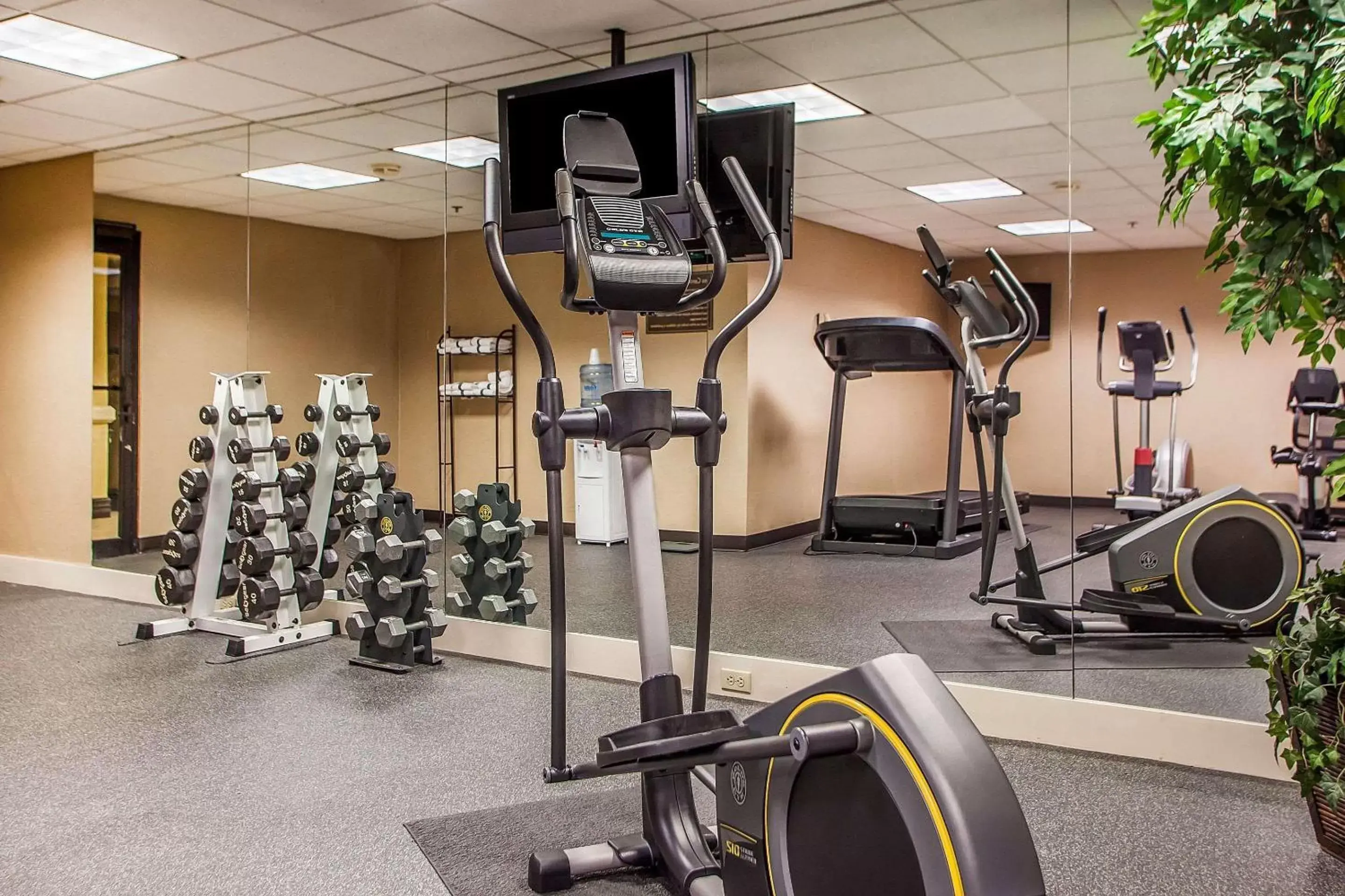 Fitness centre/facilities, Fitness Center/Facilities in Comfort Inn & Suites Somerset - New Brunswick