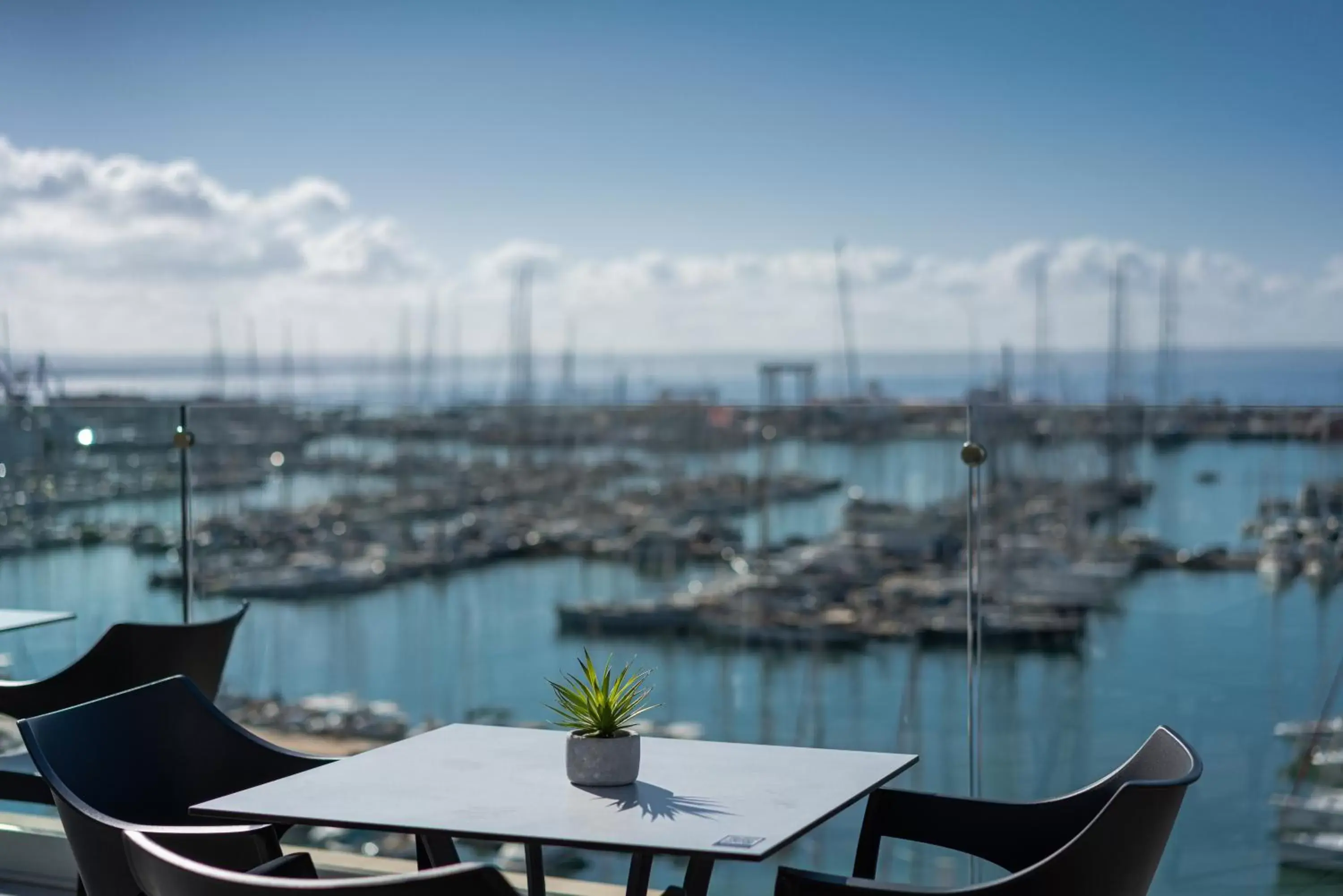 Lounge or bar in Hotel Mirador Lounge or bar in Hotel Mirador