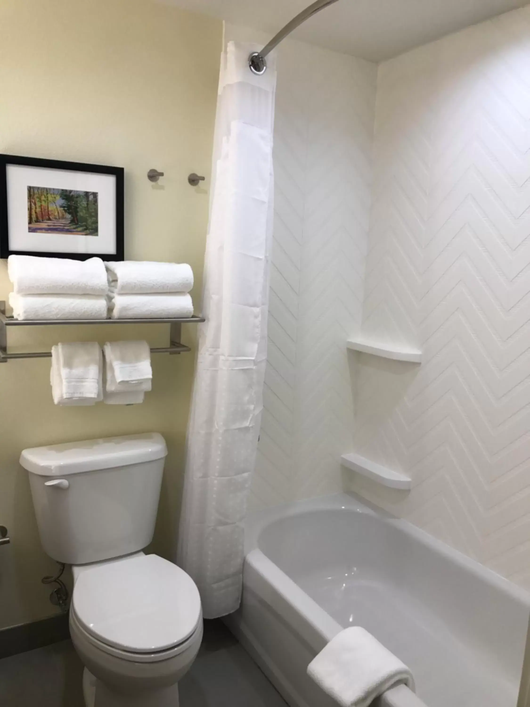 Photo of the whole room, Bathroom in Holiday Inn & Suites Arden - Asheville Airport, an IHG Hotel