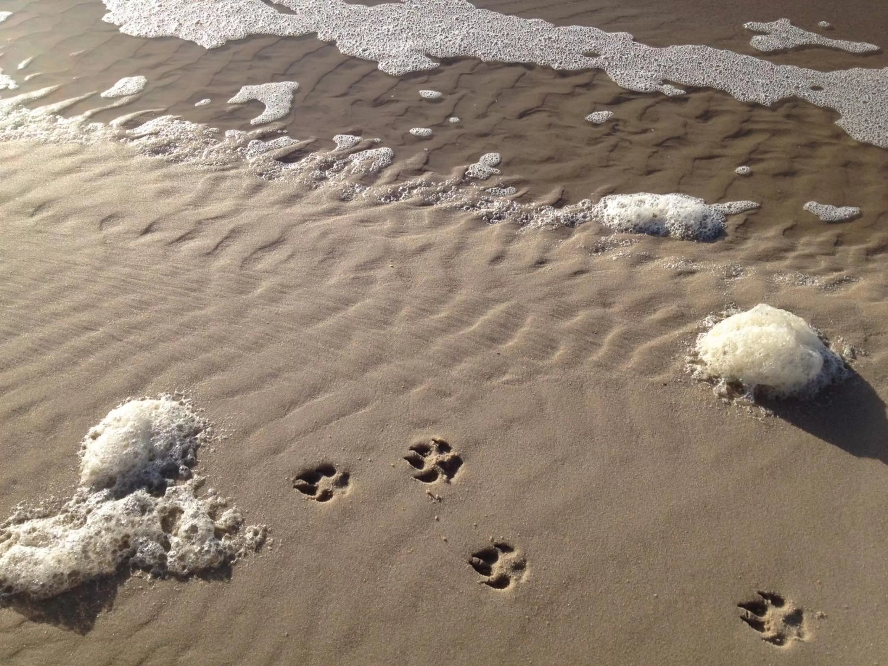 Beach in Michels Inselhotel Vier Jahreszeiten