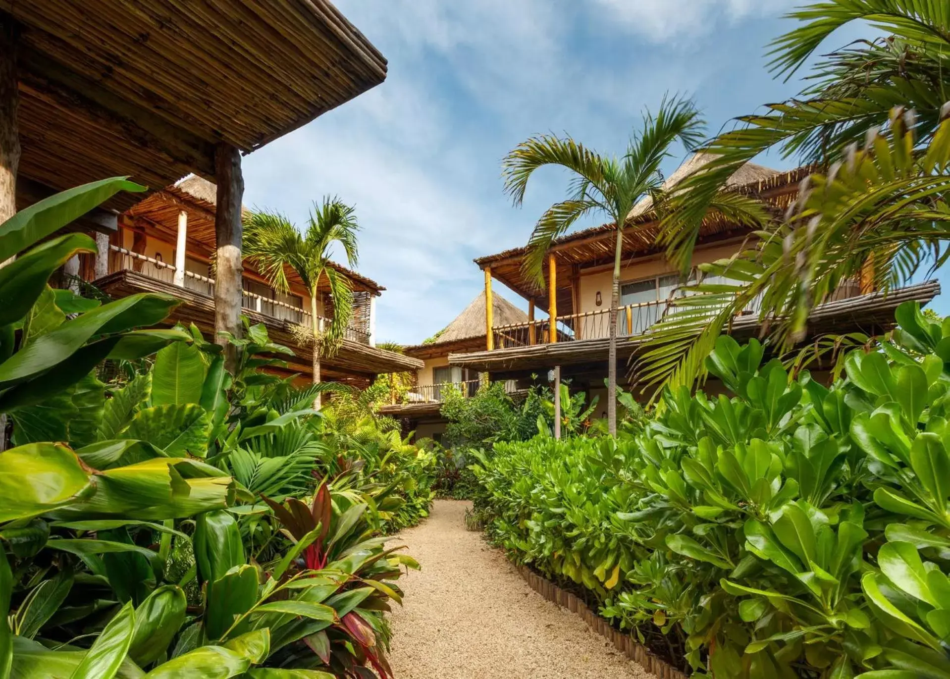 Garden, Property Building in Hotel Shibari - Restaurant & Cenote Club