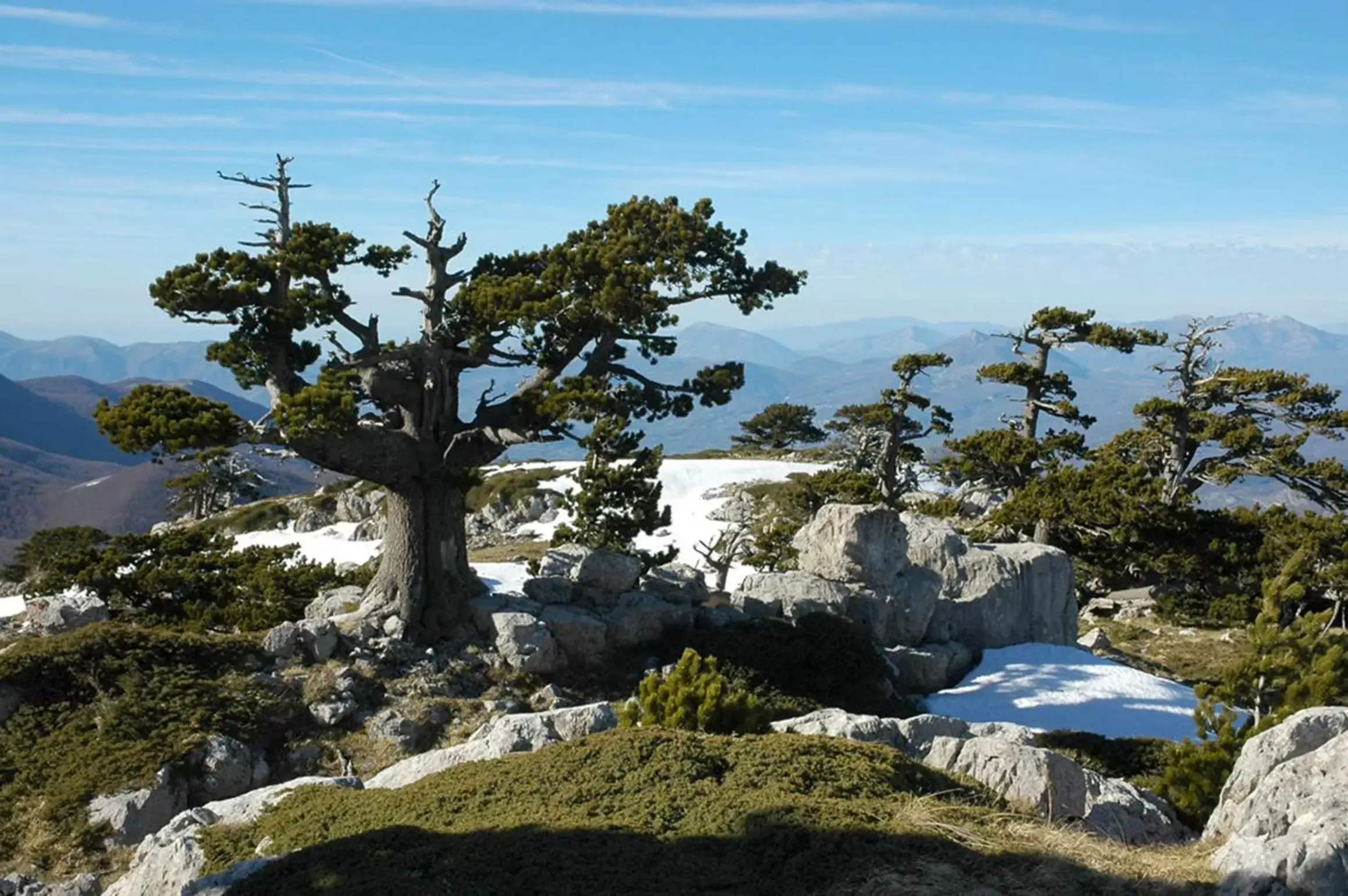 Natural landscape in Best Western Hotel Imperiale