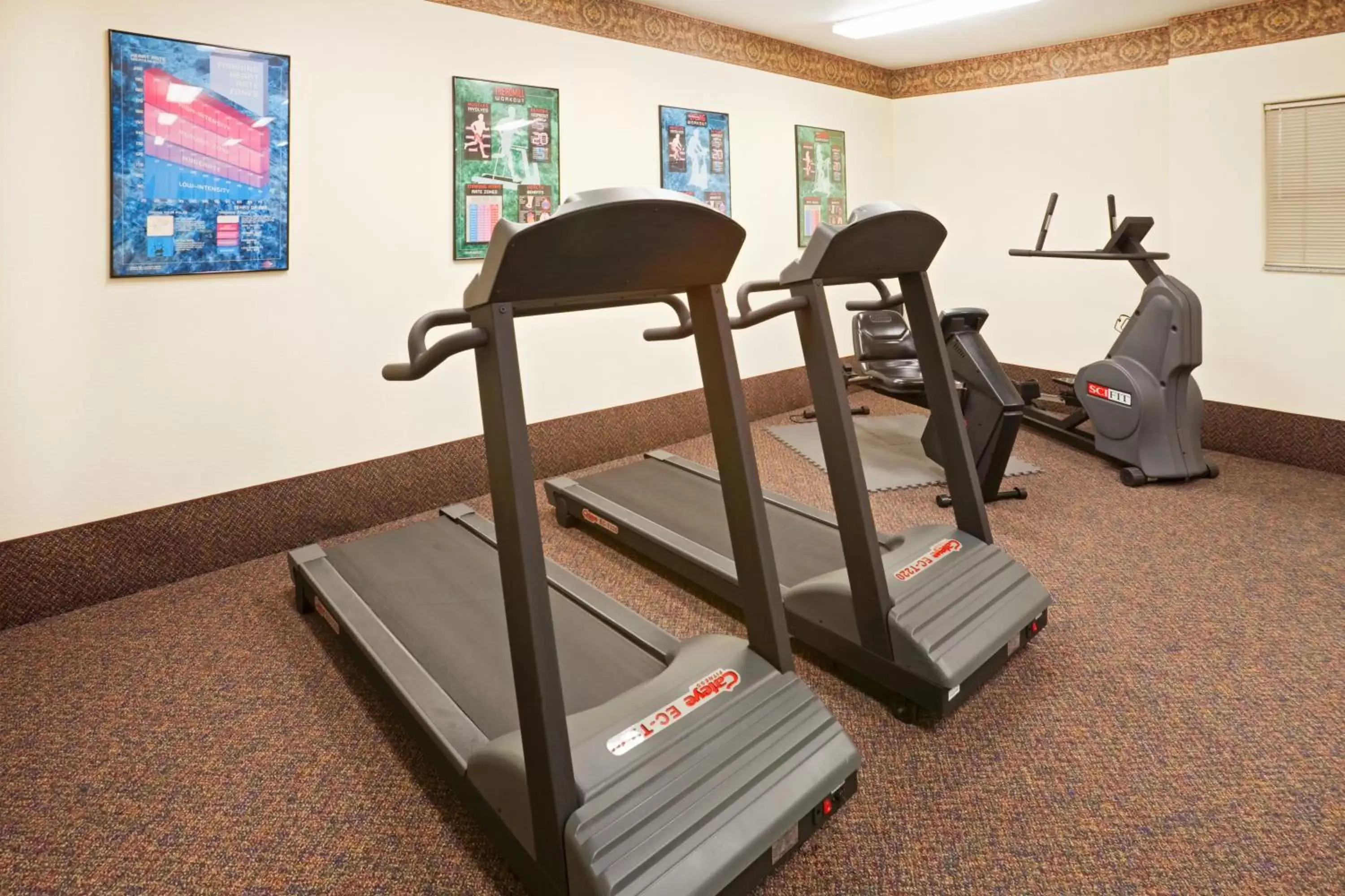 Fitness centre/facilities, Fitness Center/Facilities in Candlewood Suites Tyler, an IHG Hotel