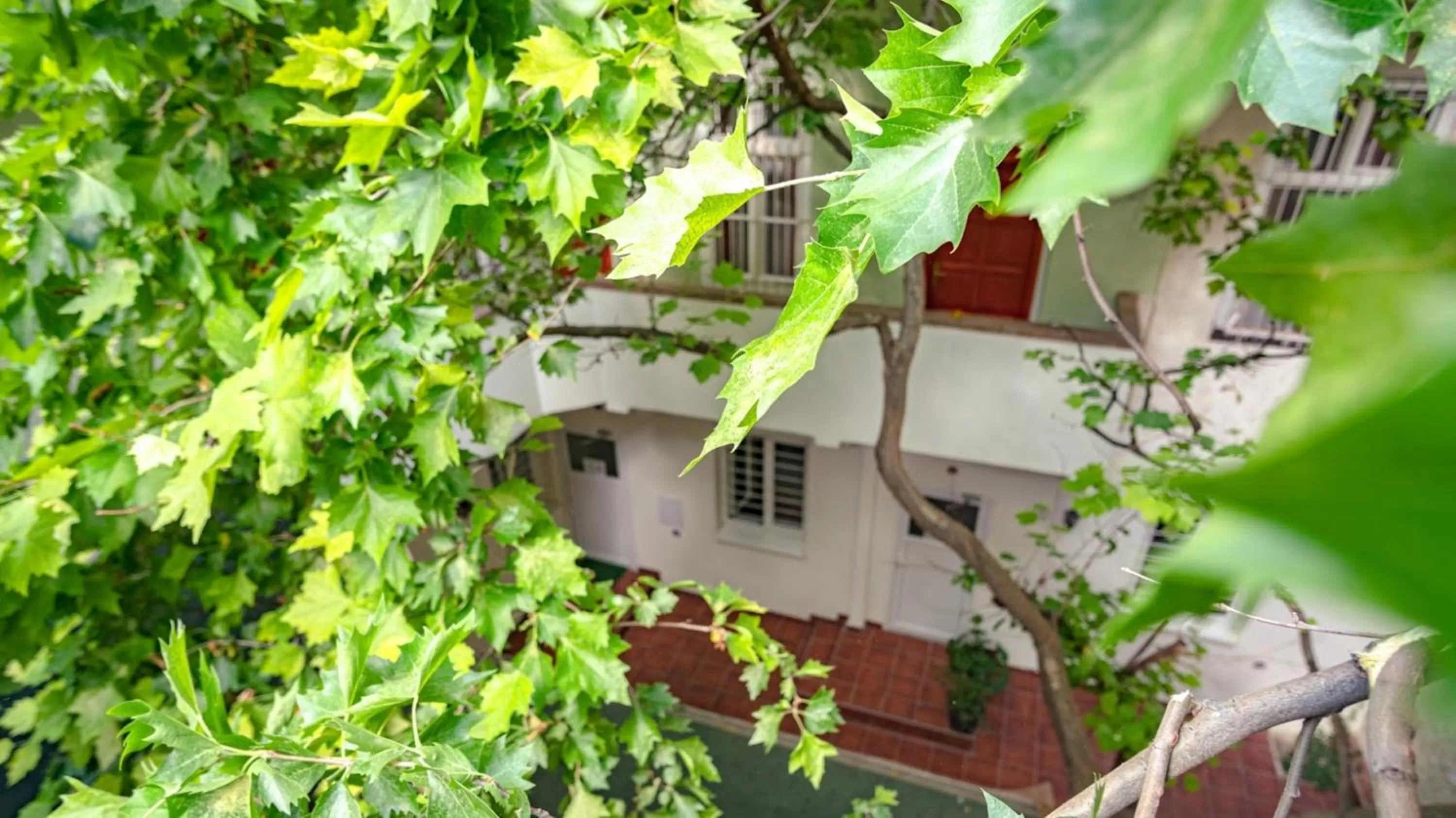 Property building in Easy Star Hotel