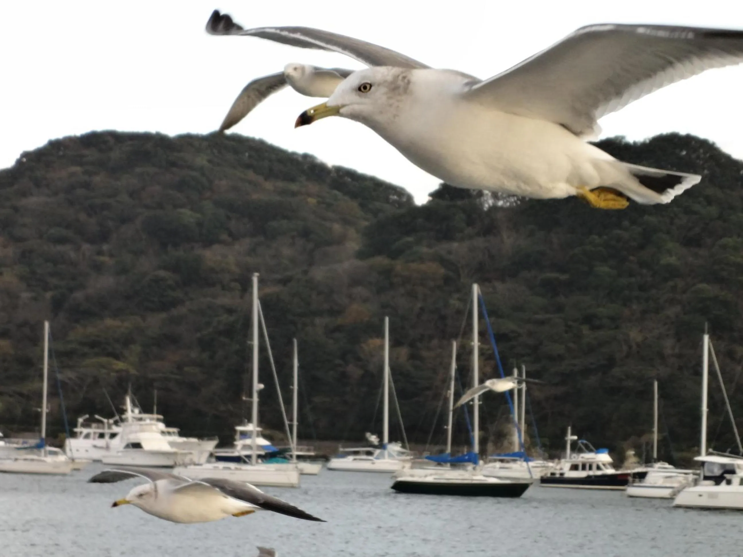 Nearby landmark in Hotel Izukyu