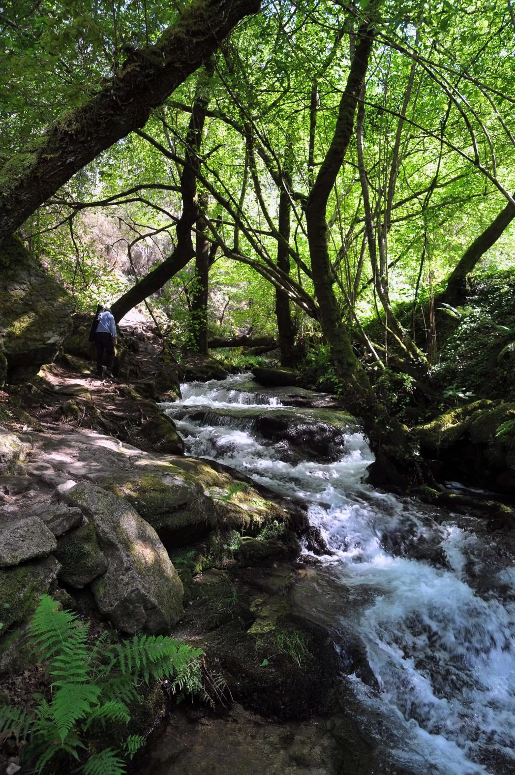 Nearby landmark in Parador de Cambados