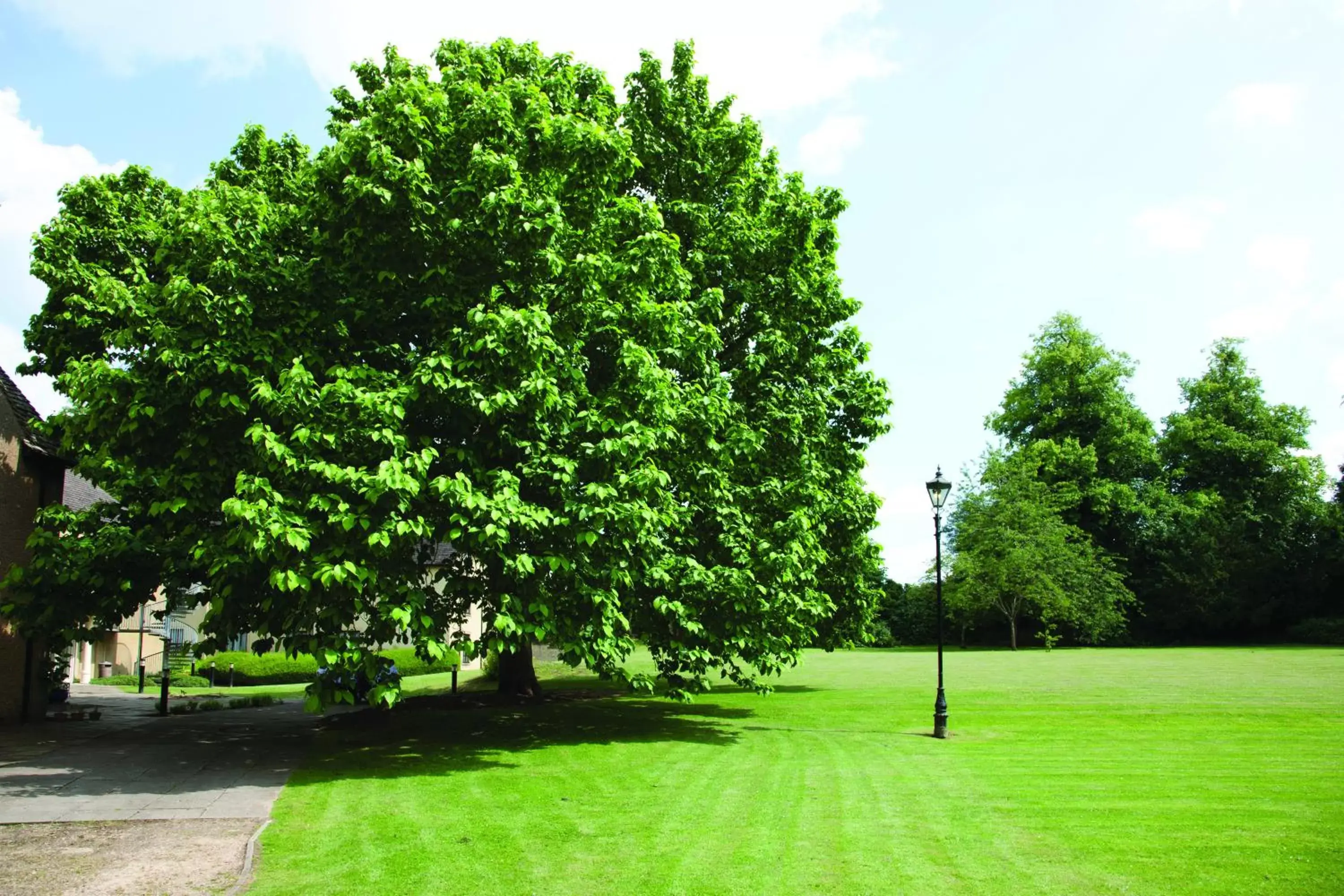 Garden view, Garden in Sudbury House