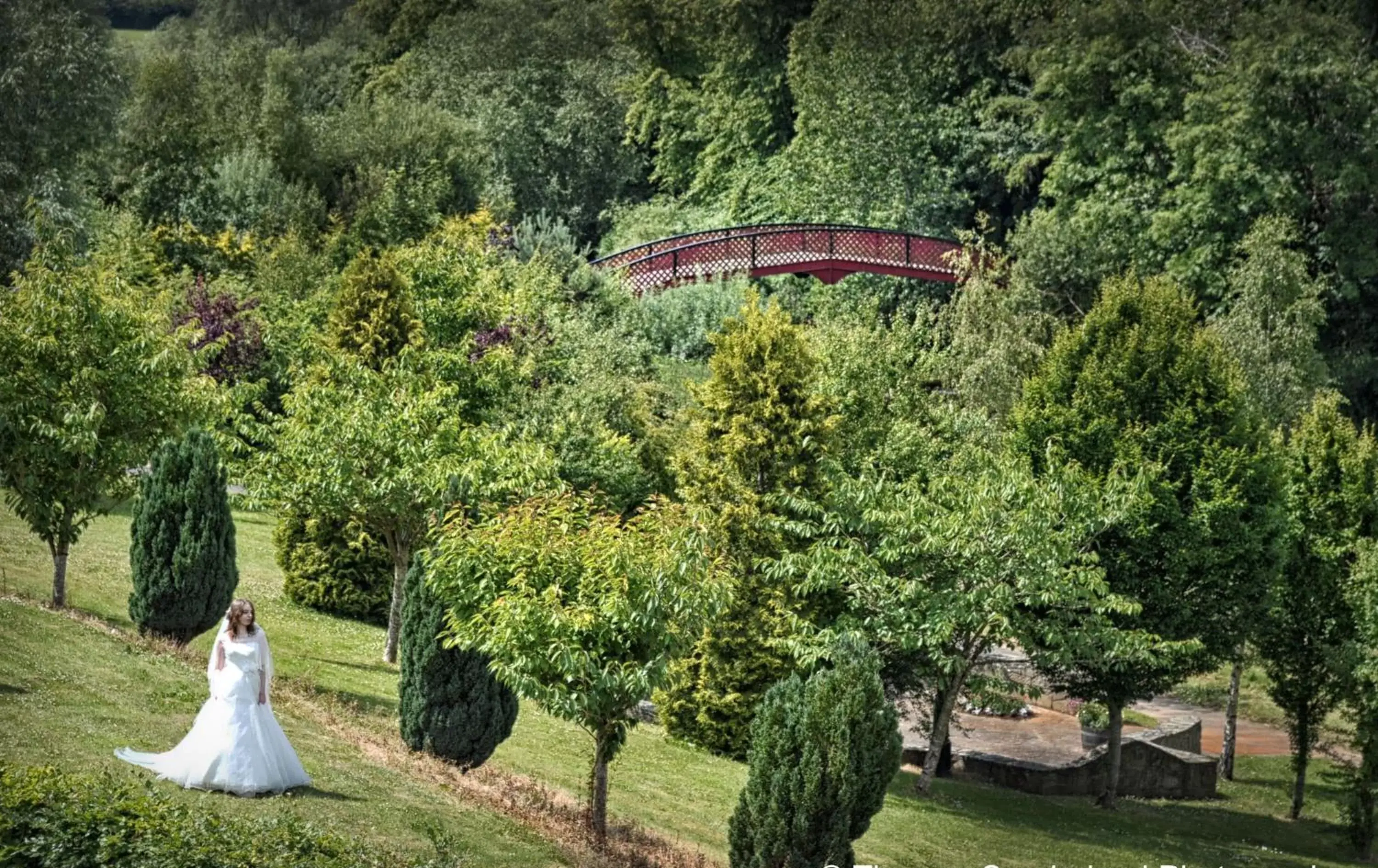 Natural landscape in Woodford Dolmen Hotel Carlow