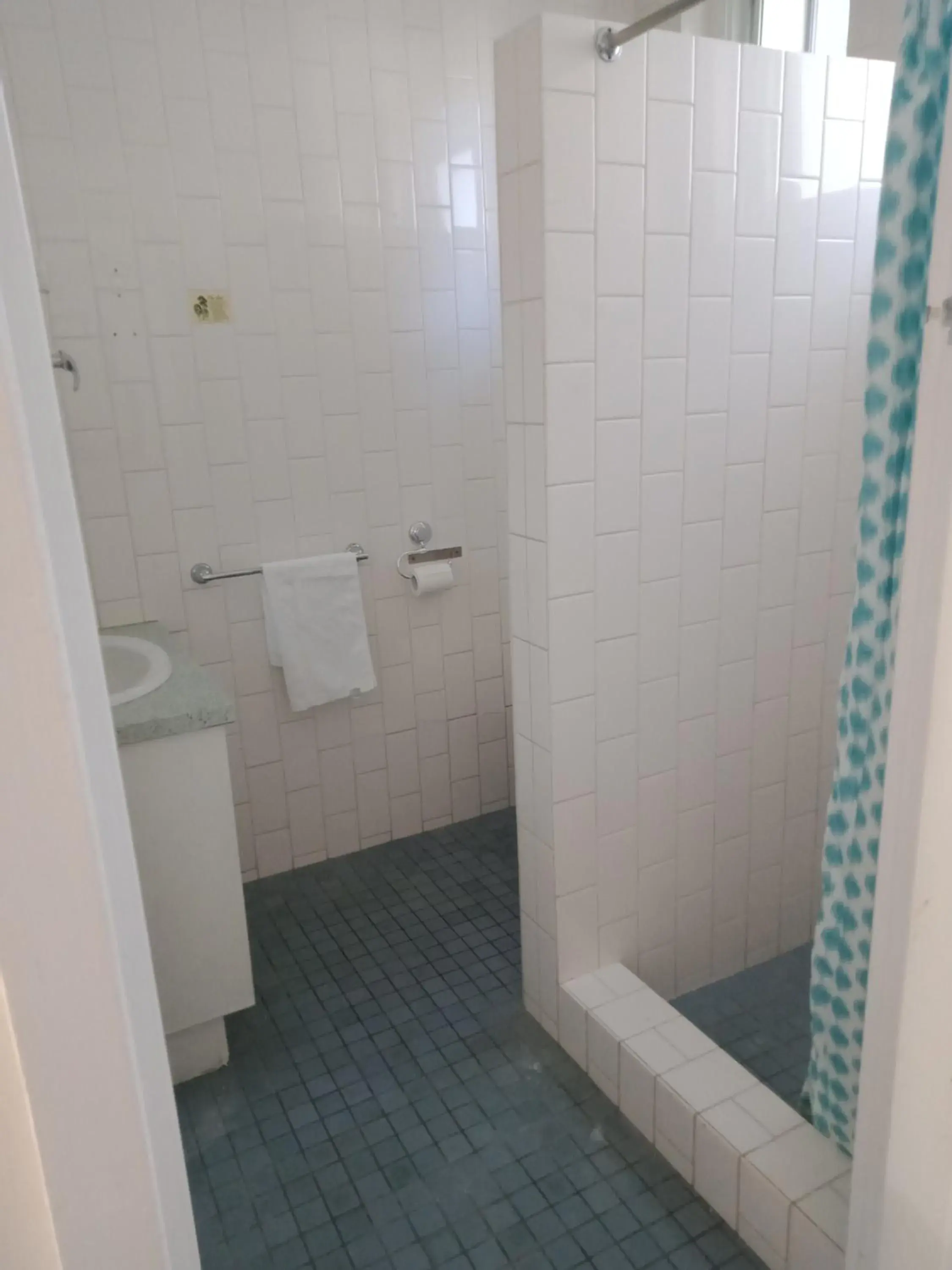 Shower, Bathroom in Annerley Motor Inn