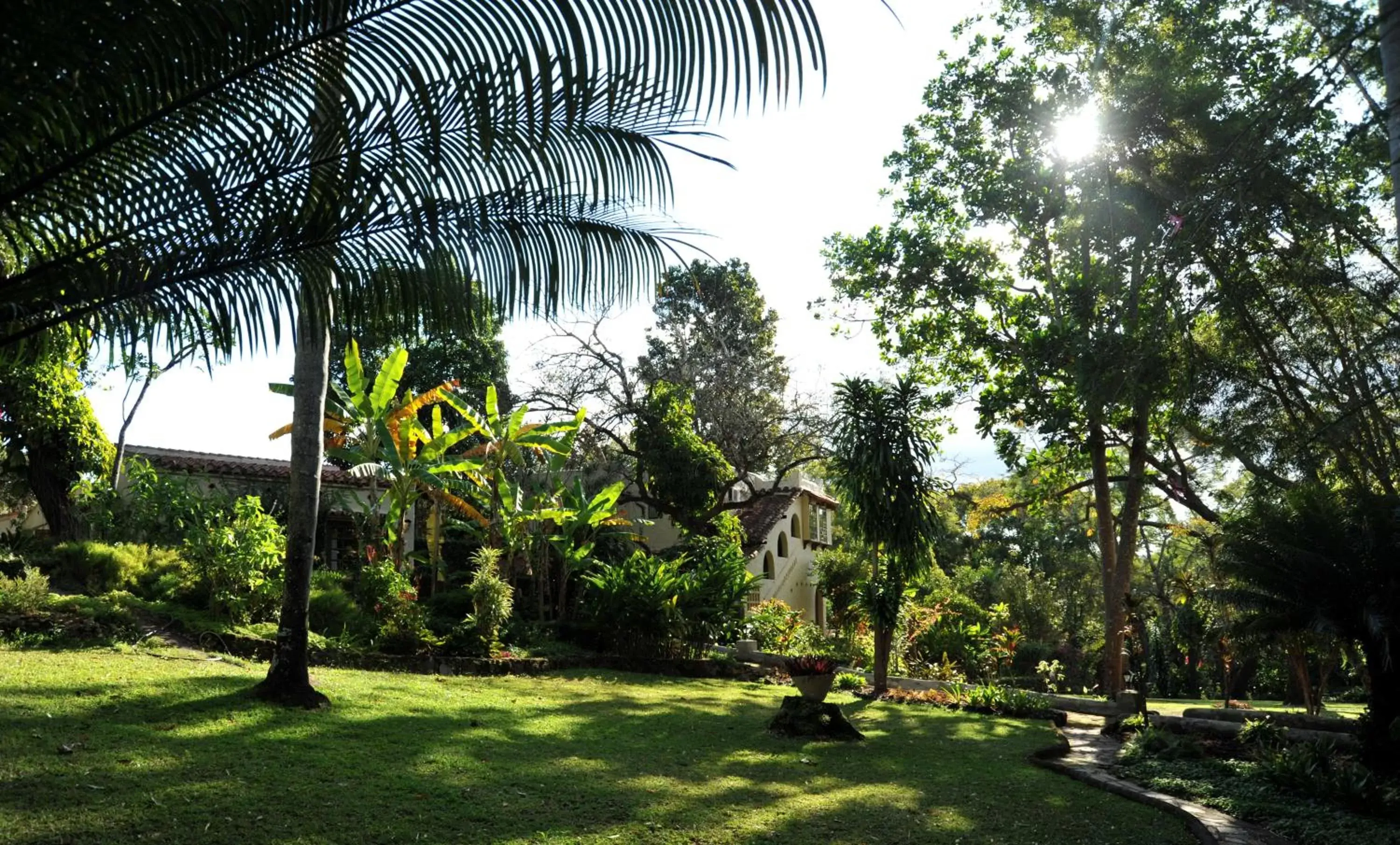 Garden in ANEW Resort Hazyview Kruger Park Garden in ANEW Resort Hazyview Kruger Park