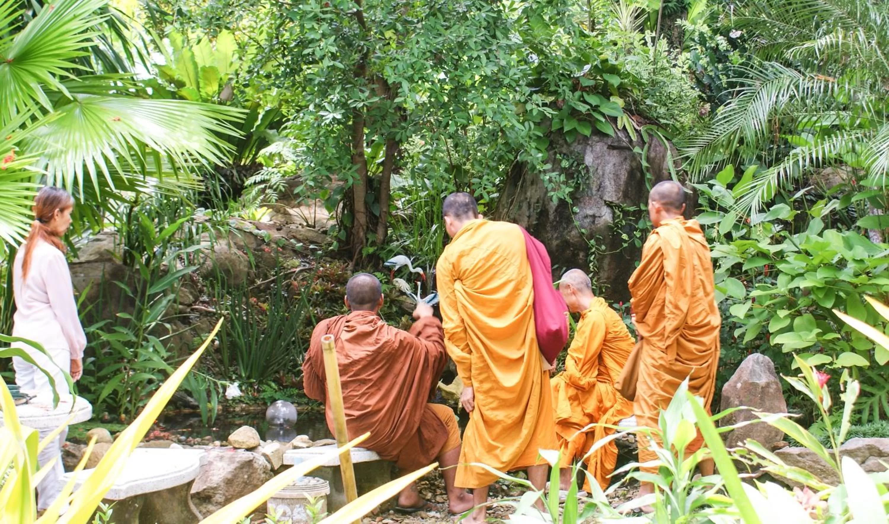 Garden view in Rock Inn Bailan