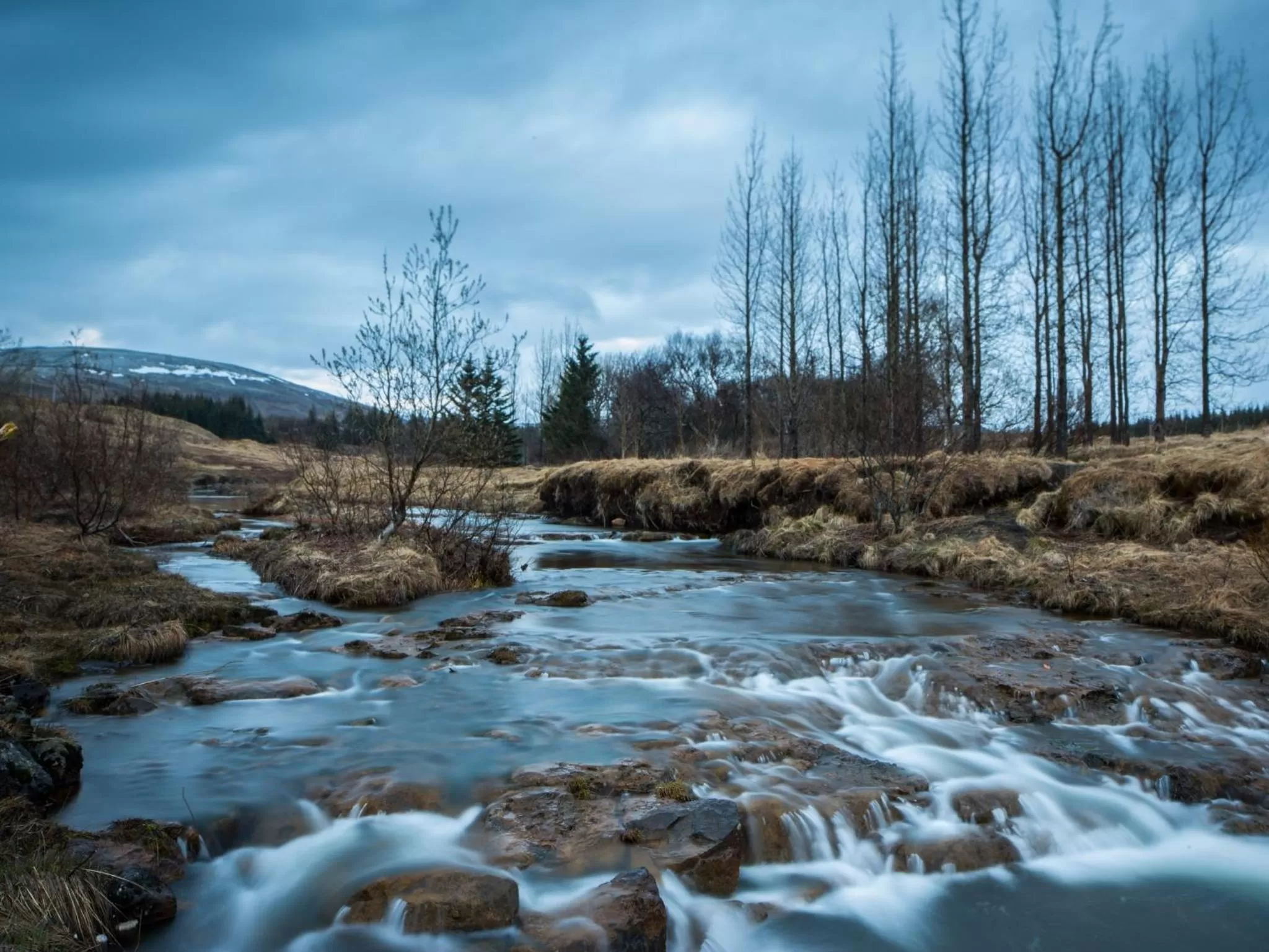 Fishing in Hotel Laxnes