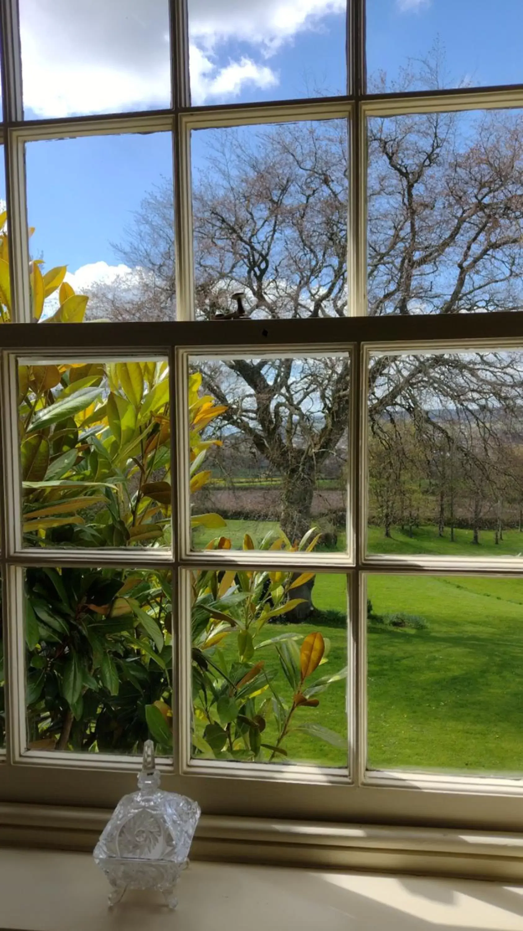 View (from property/room) in Buckley Farmhouse