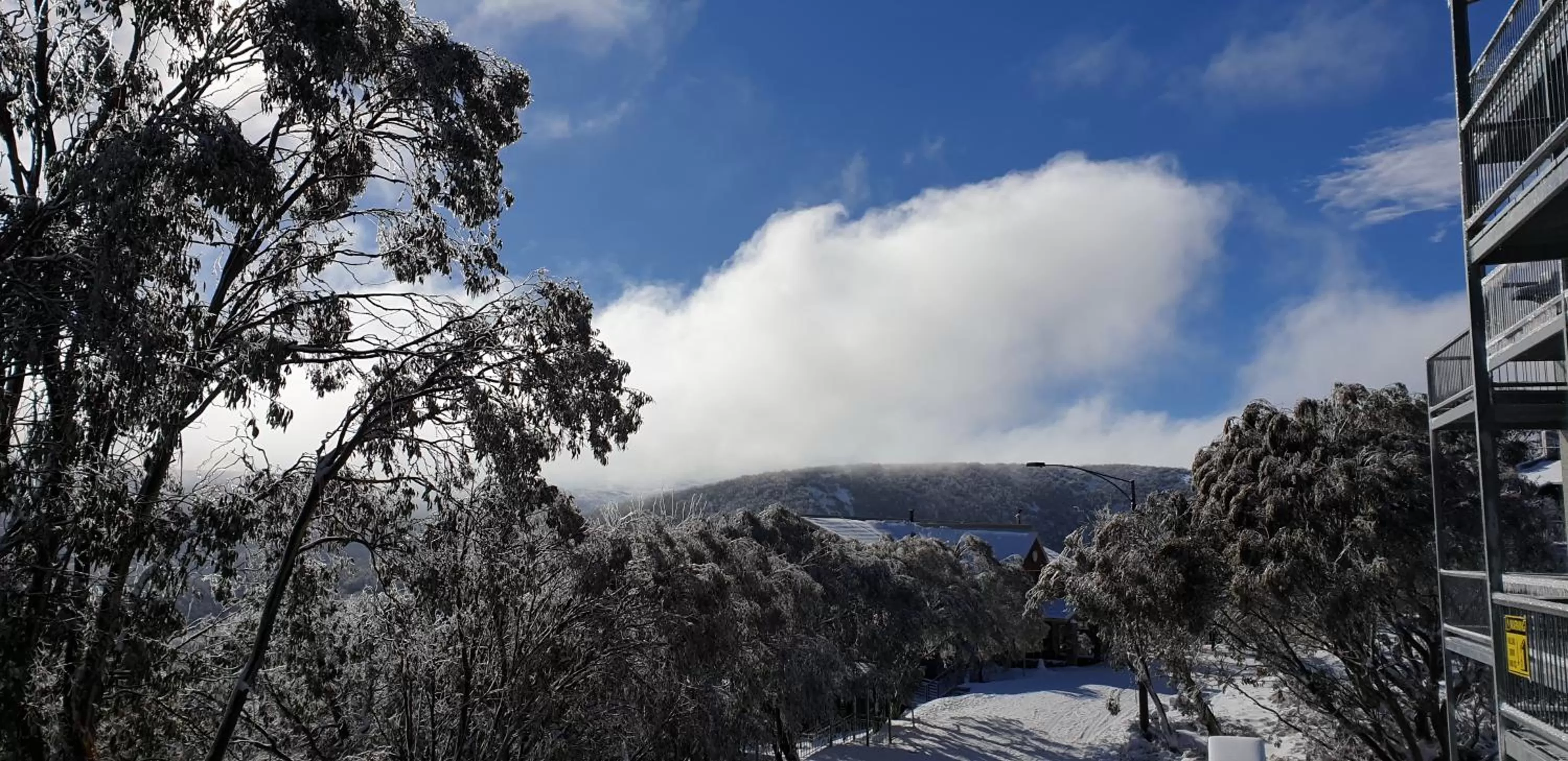 Mountain view in Cedarwood Apartments