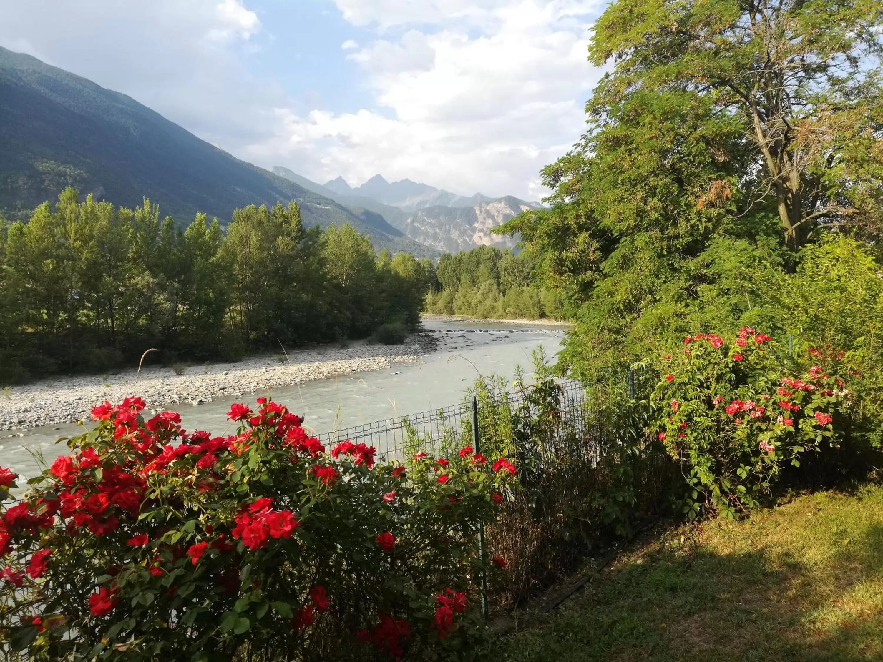 Garden in Etoile Du Nord