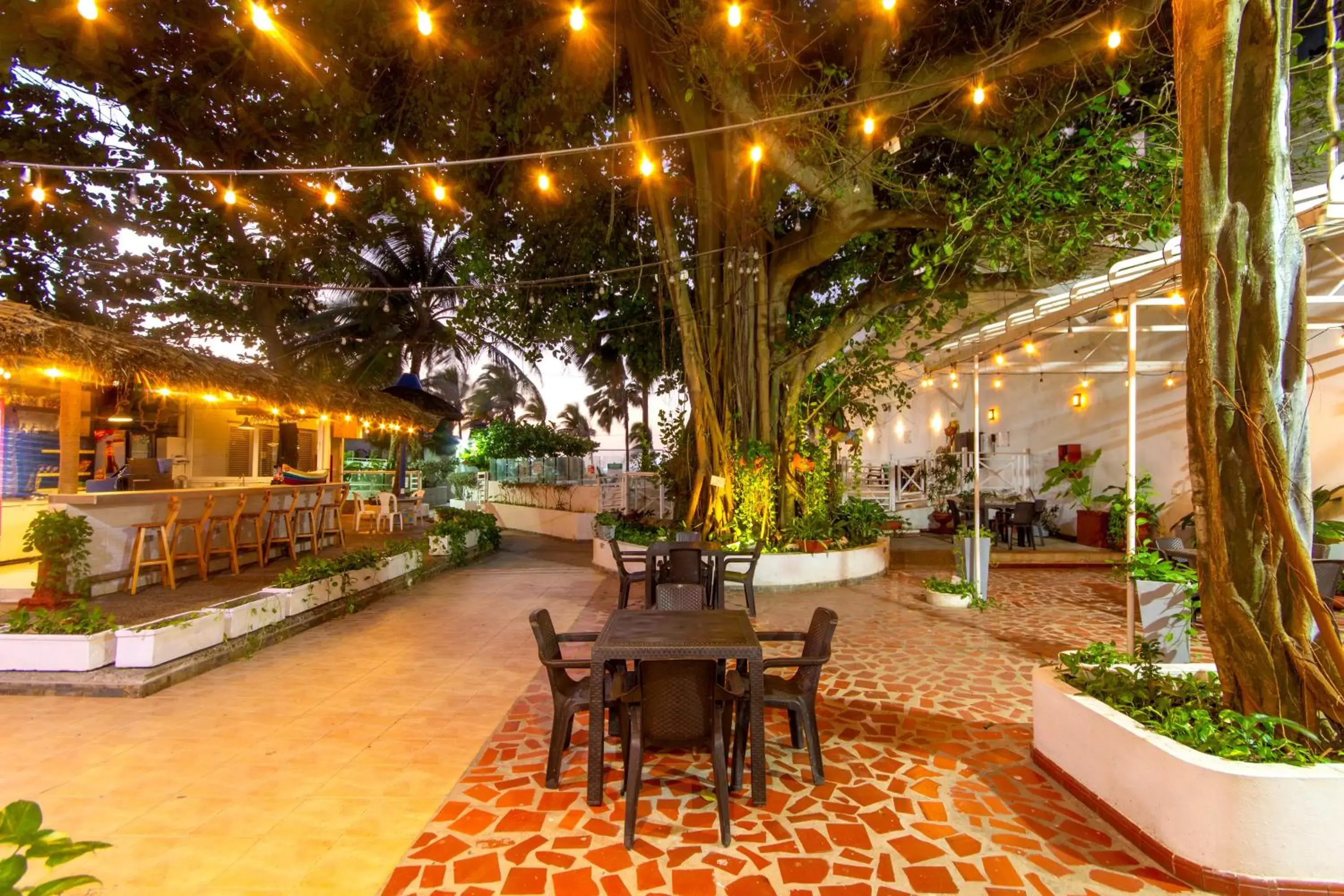 Patio in Hotel Playa Club