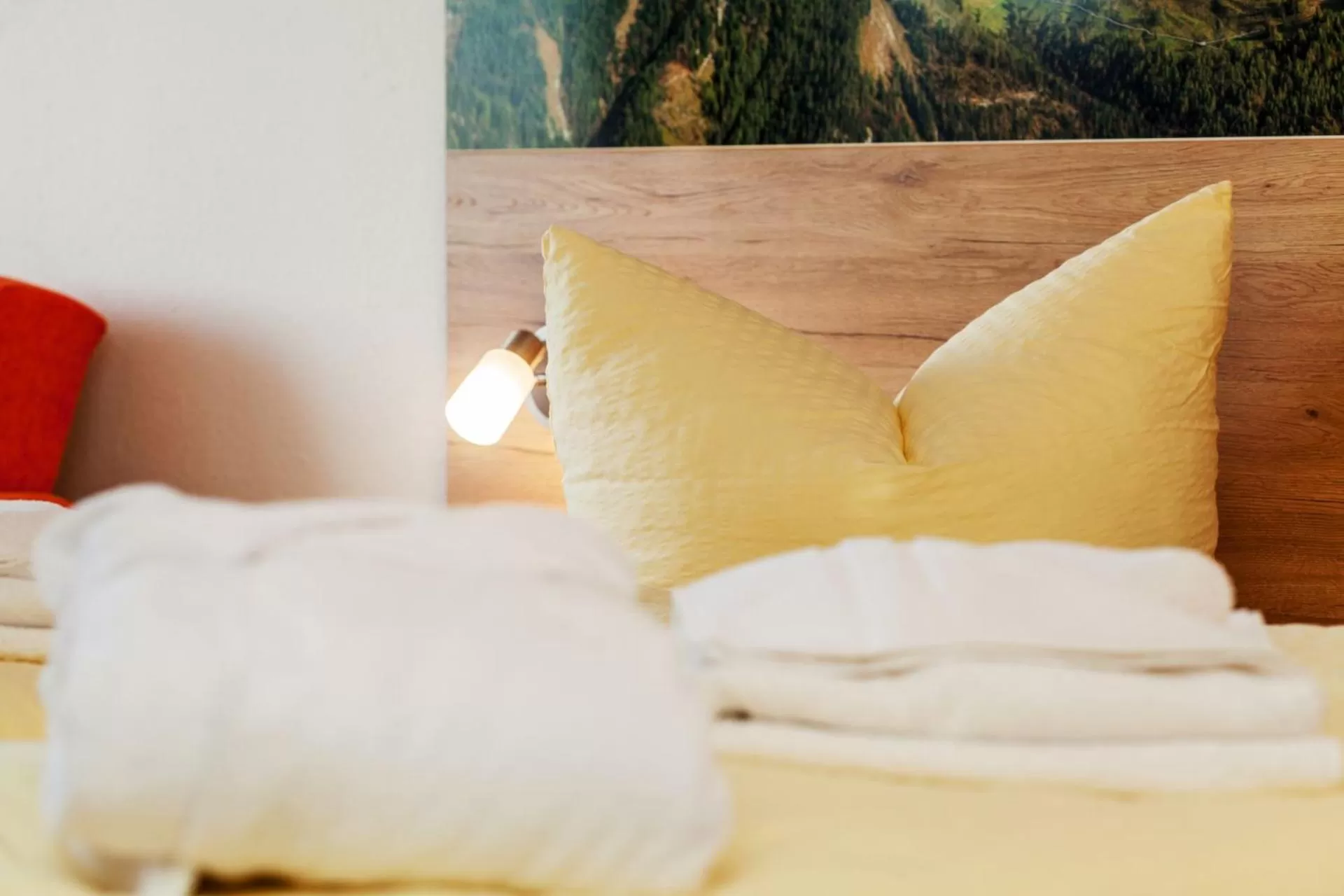 Photo of the whole room, Bed in Appartementhaus Dachsteinblick