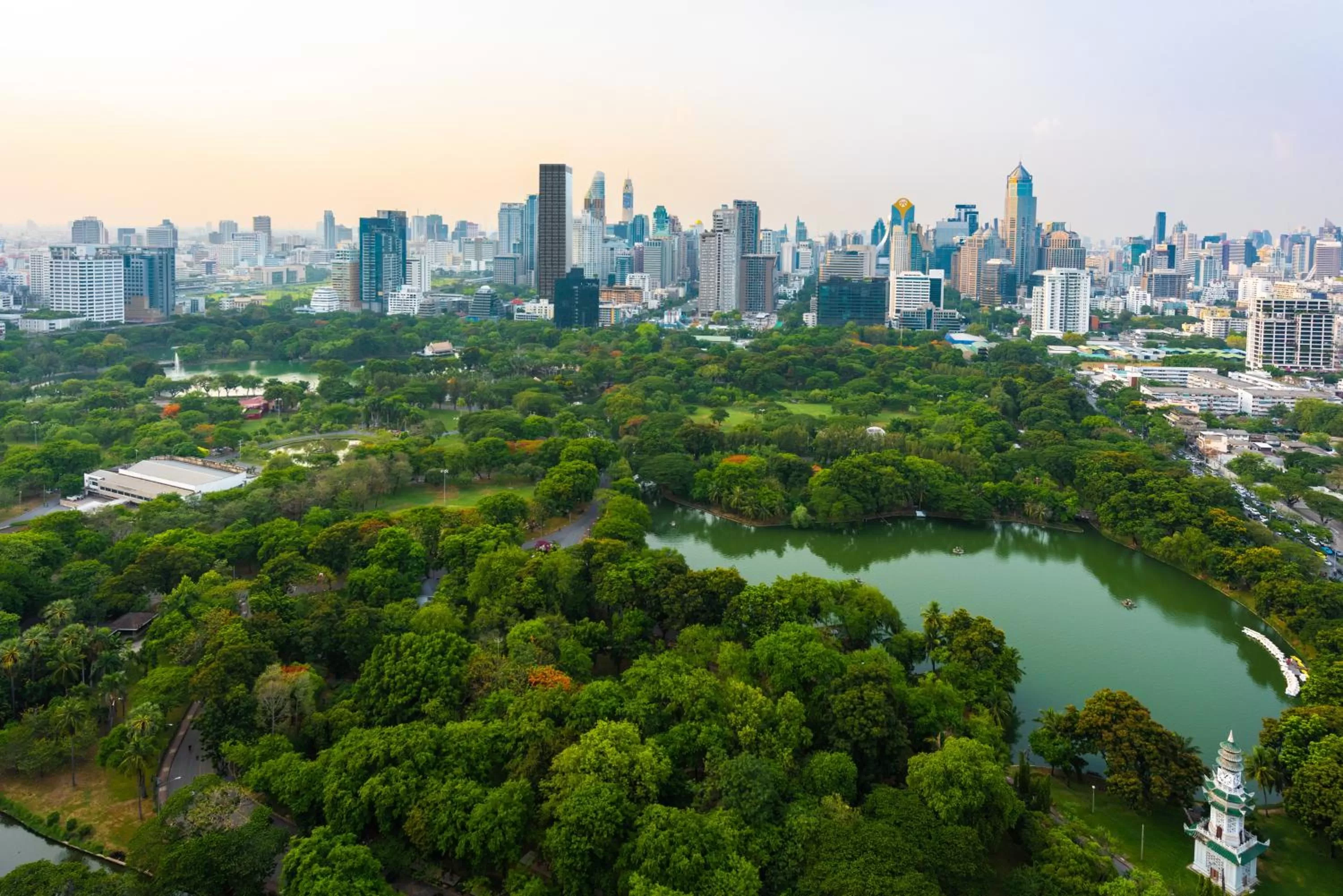 Garden view in SO/ Bangkok