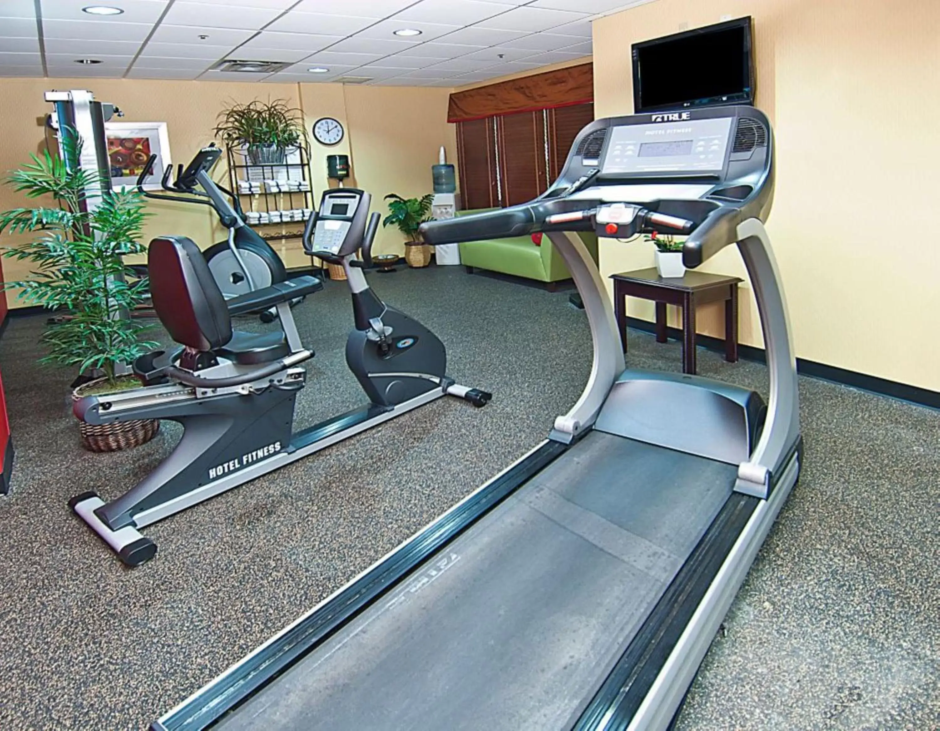 Fitness centre/facilities, Fitness Center/Facilities in Holiday Inn Vicksburg, an IHG Hotel