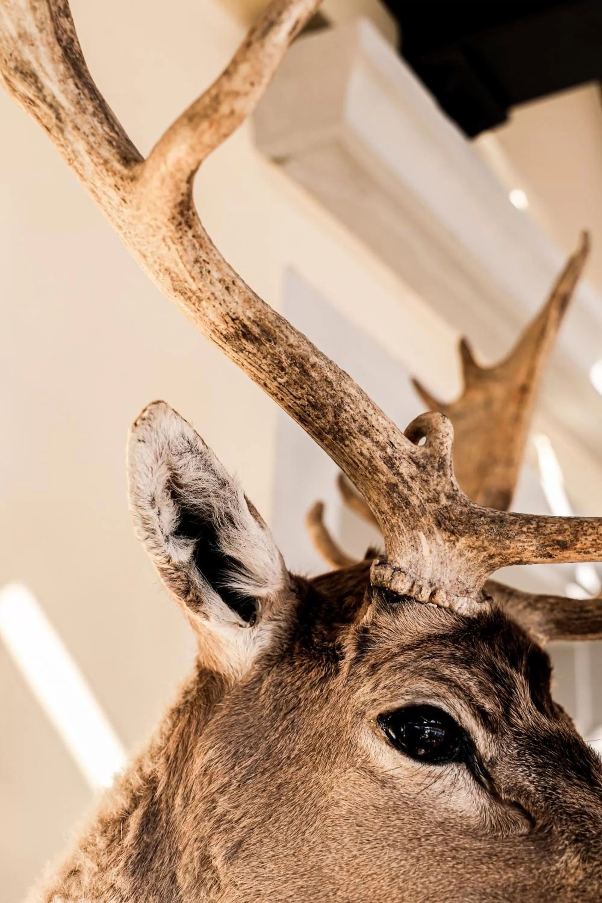 Hotel Hirschen am See