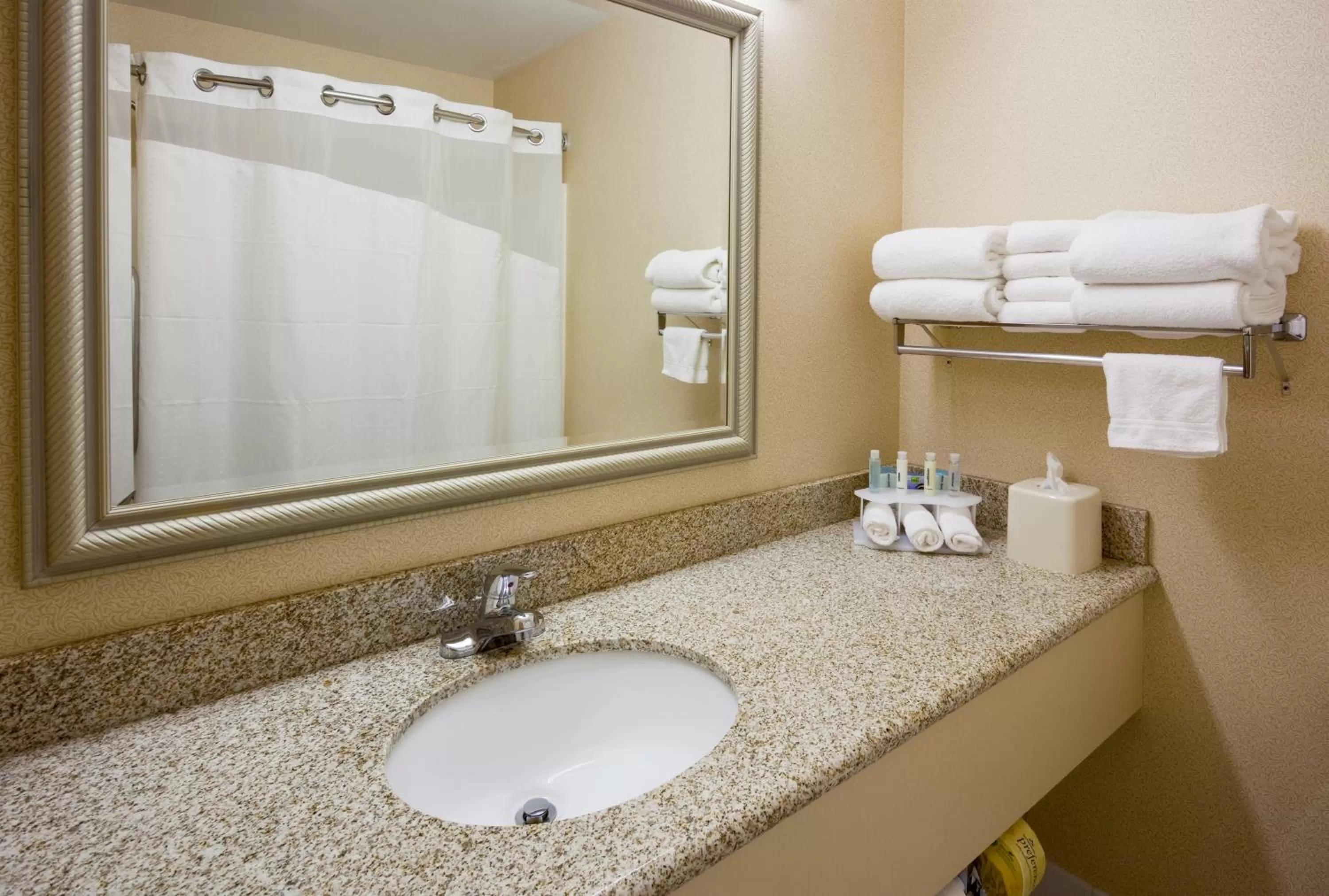 Bathroom in Holiday Inn Express Fargo - West Acres by IHG