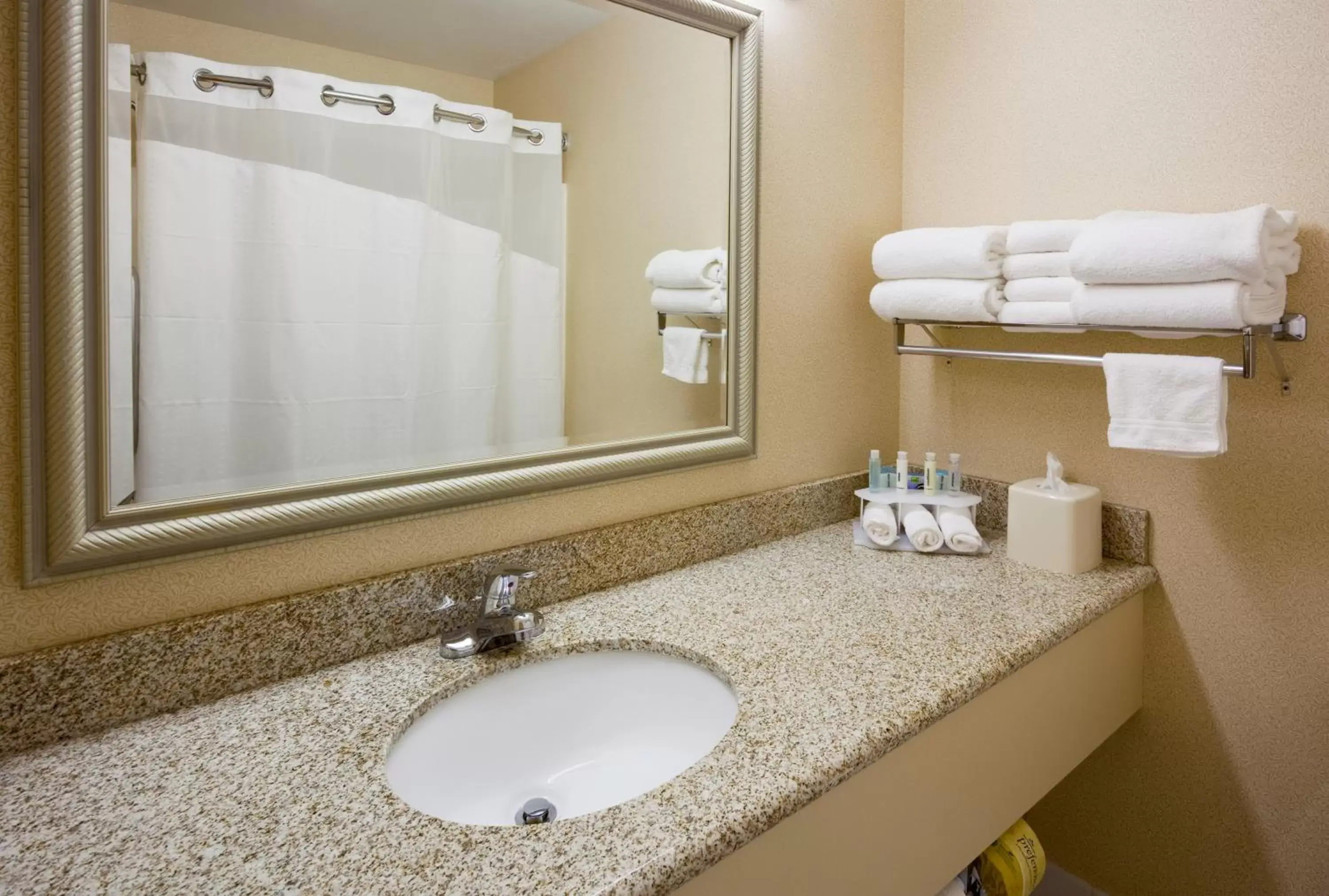 Bathroom in Holiday Inn Express Fargo - West Acres, an IHG Hotel
