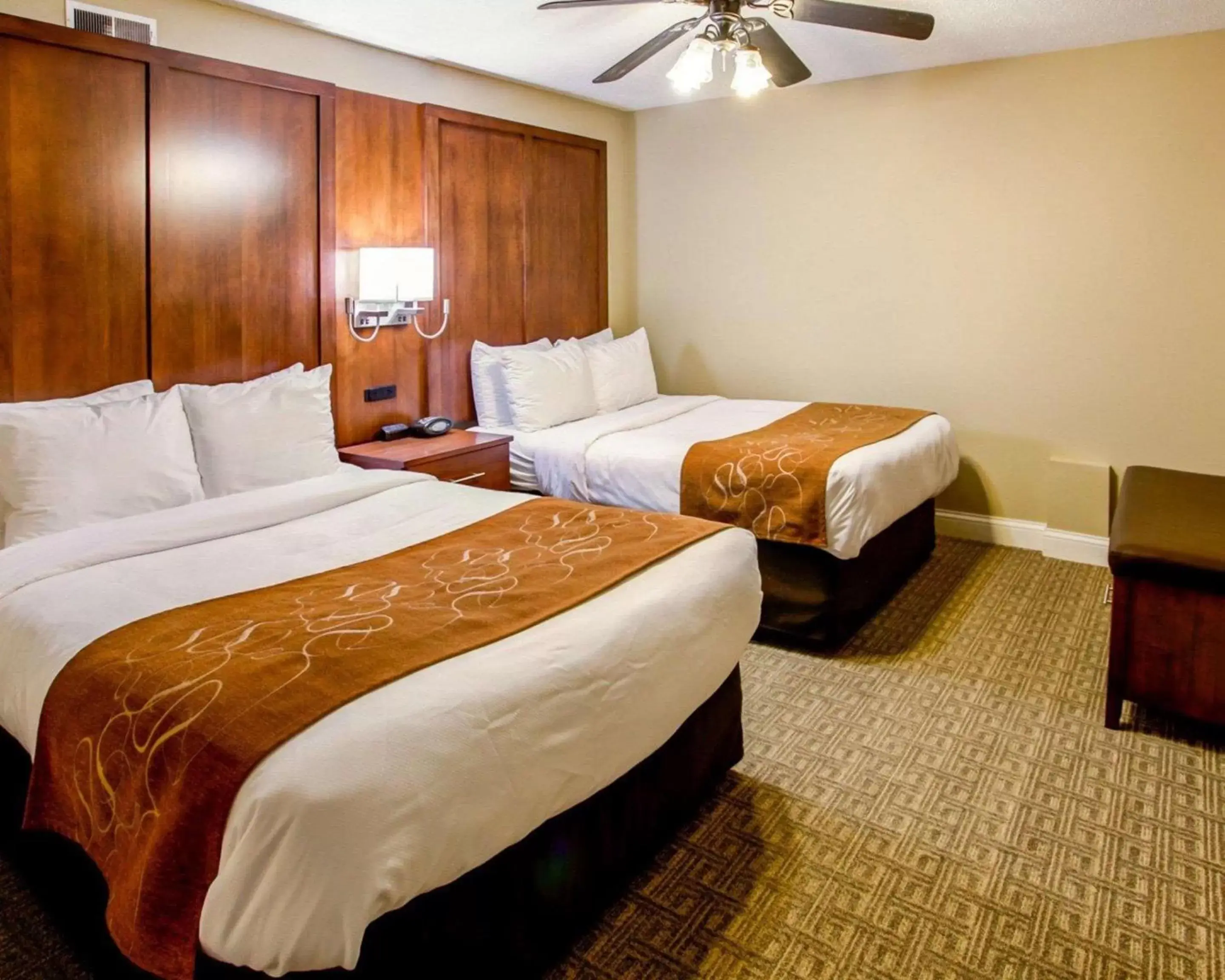 Photo of the whole room, Bed in Comfort Suites Georgetown