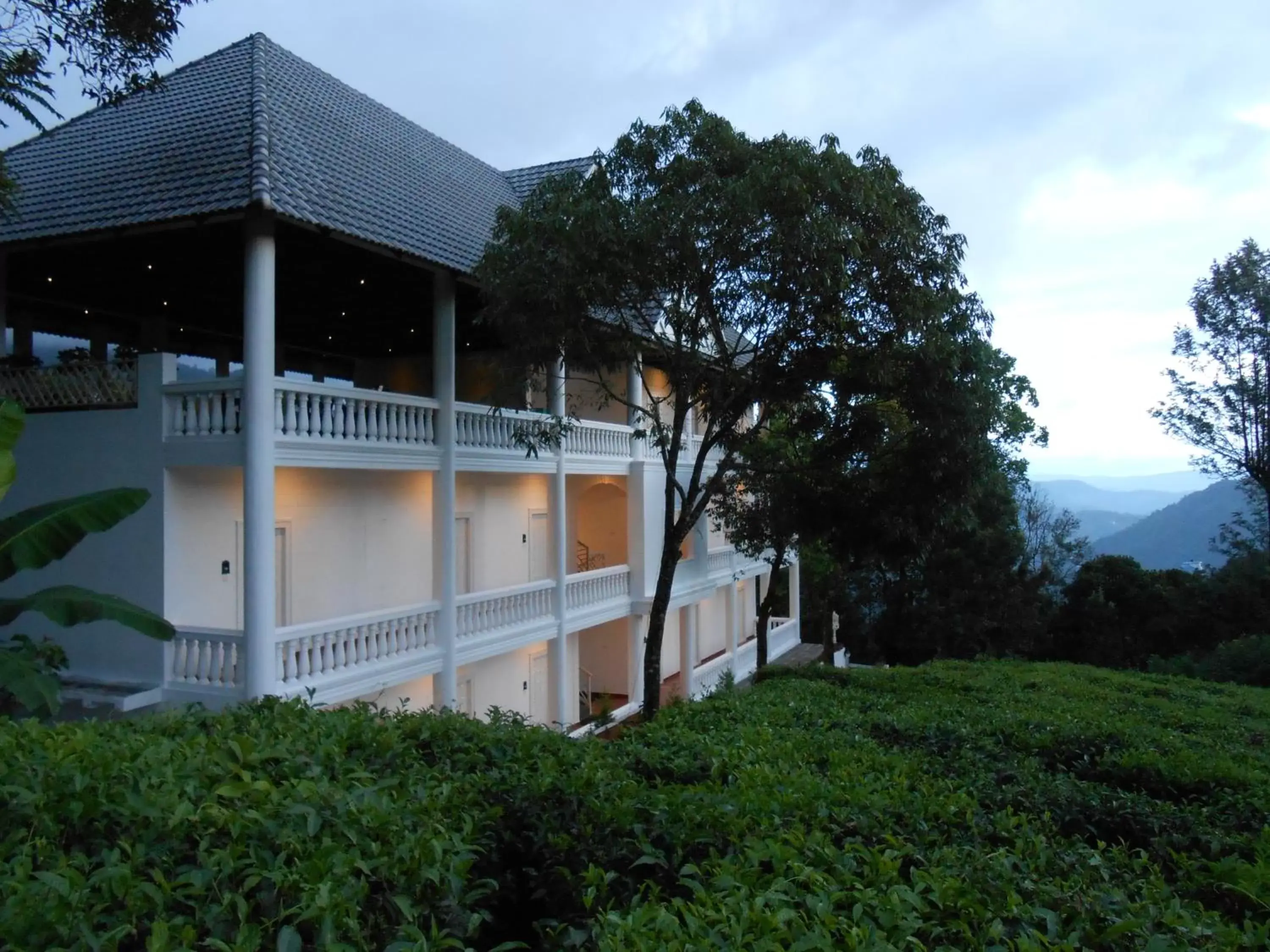 Garden, Property Building in Tea Harvester