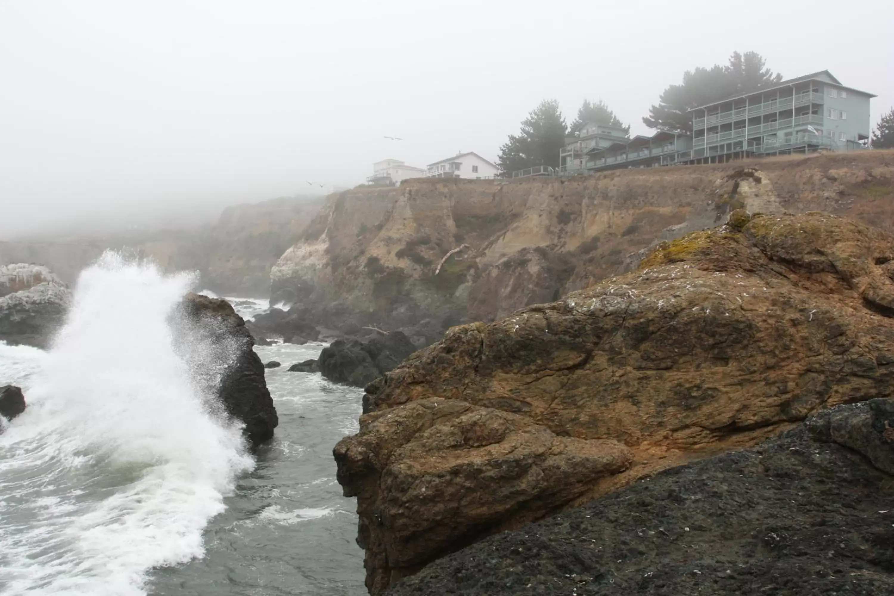 Property building, Natural Landscape in Inn of the Lost Coast