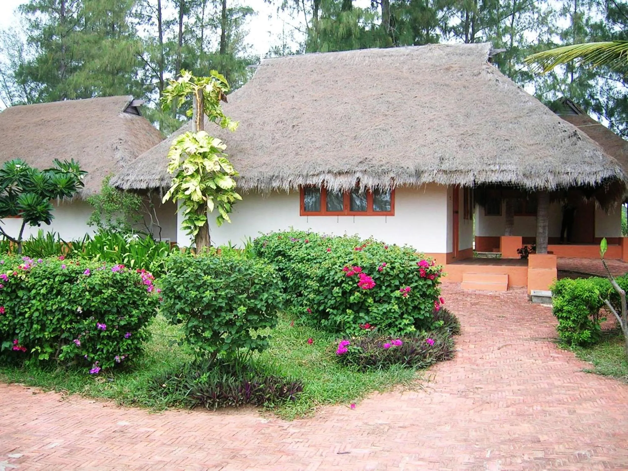 Garden in Lawana Escape