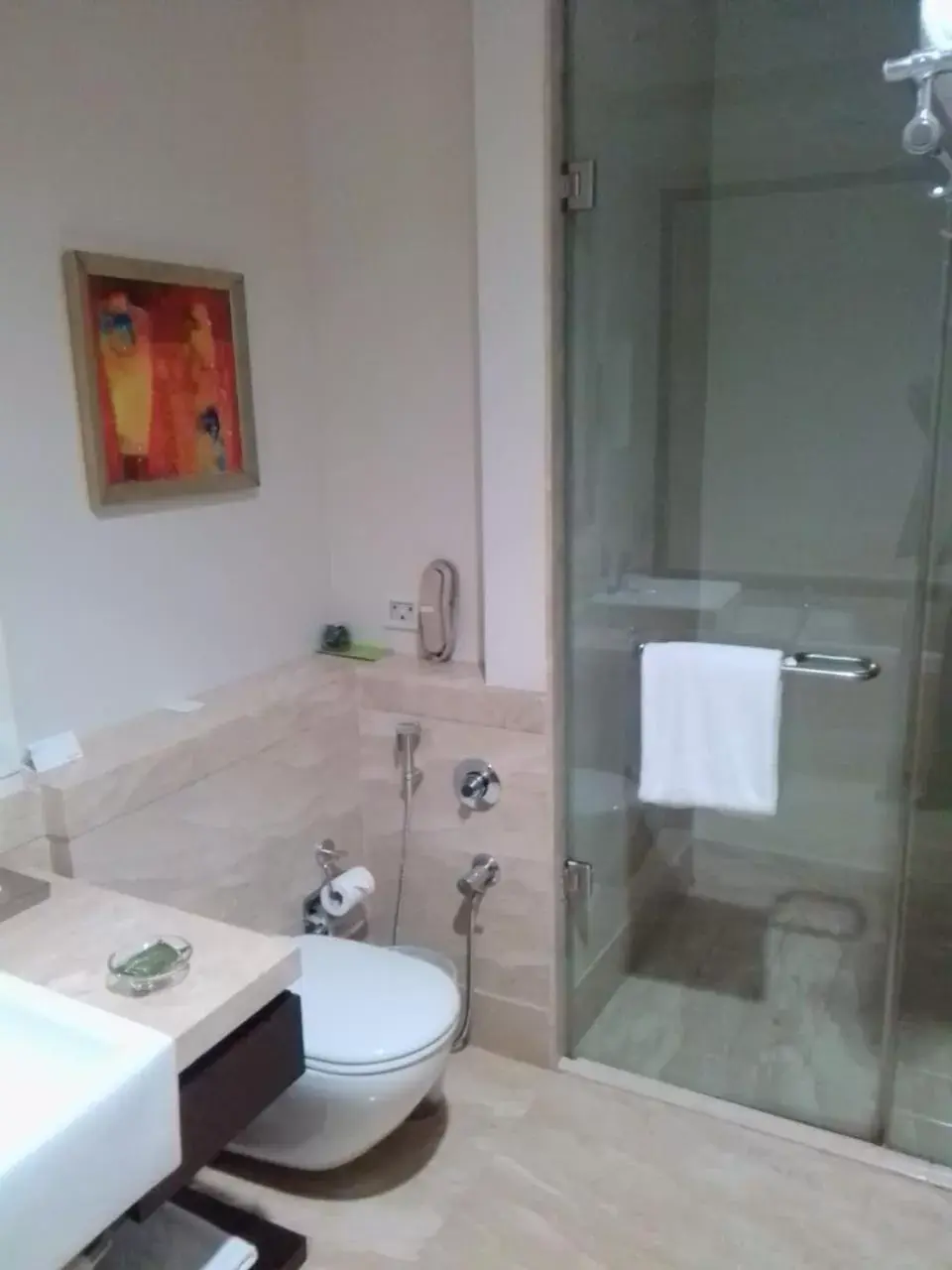 Shower, Bathroom in Radisson Noida