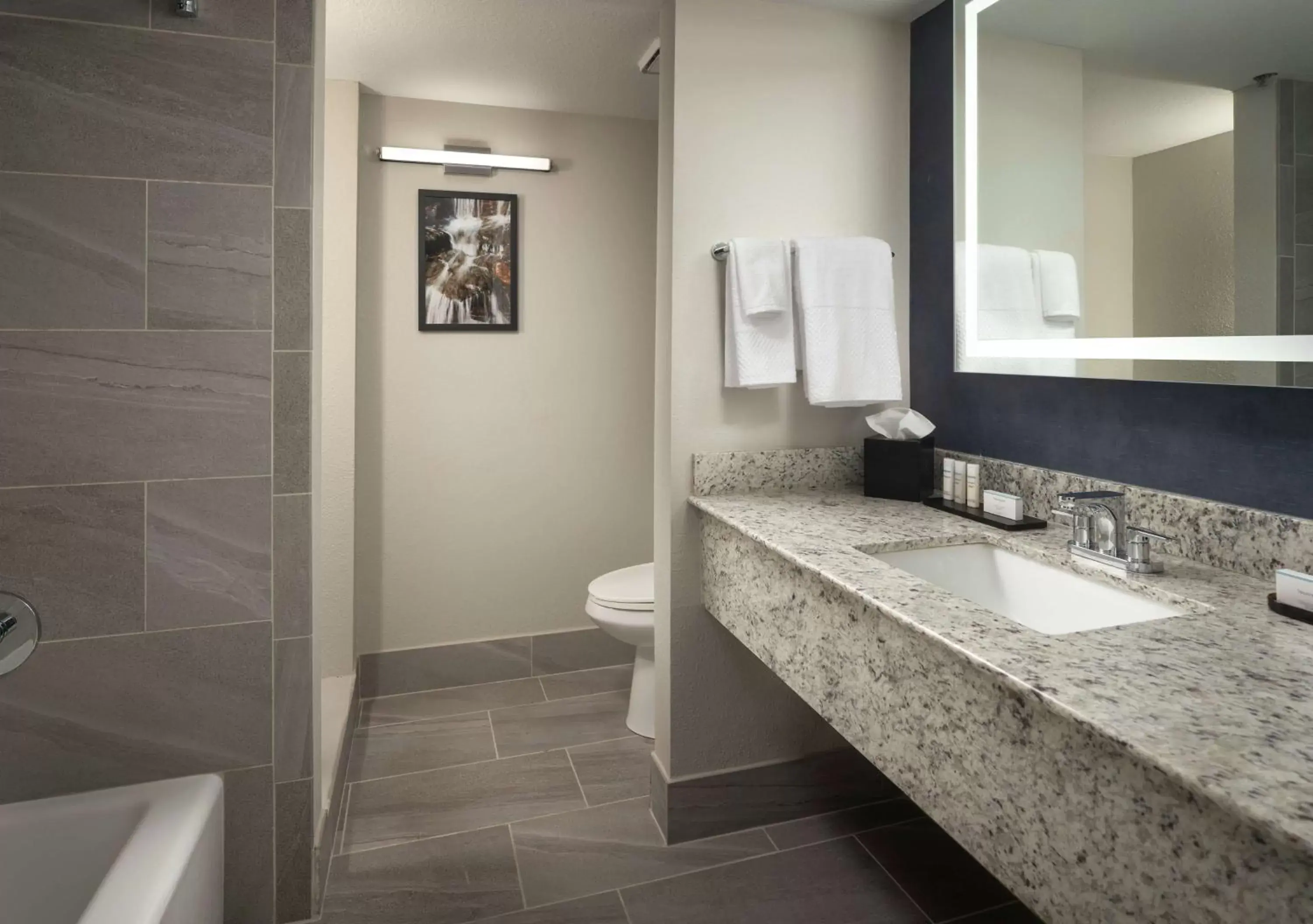Bathroom in Embassy Suites by Hilton Tucson East
