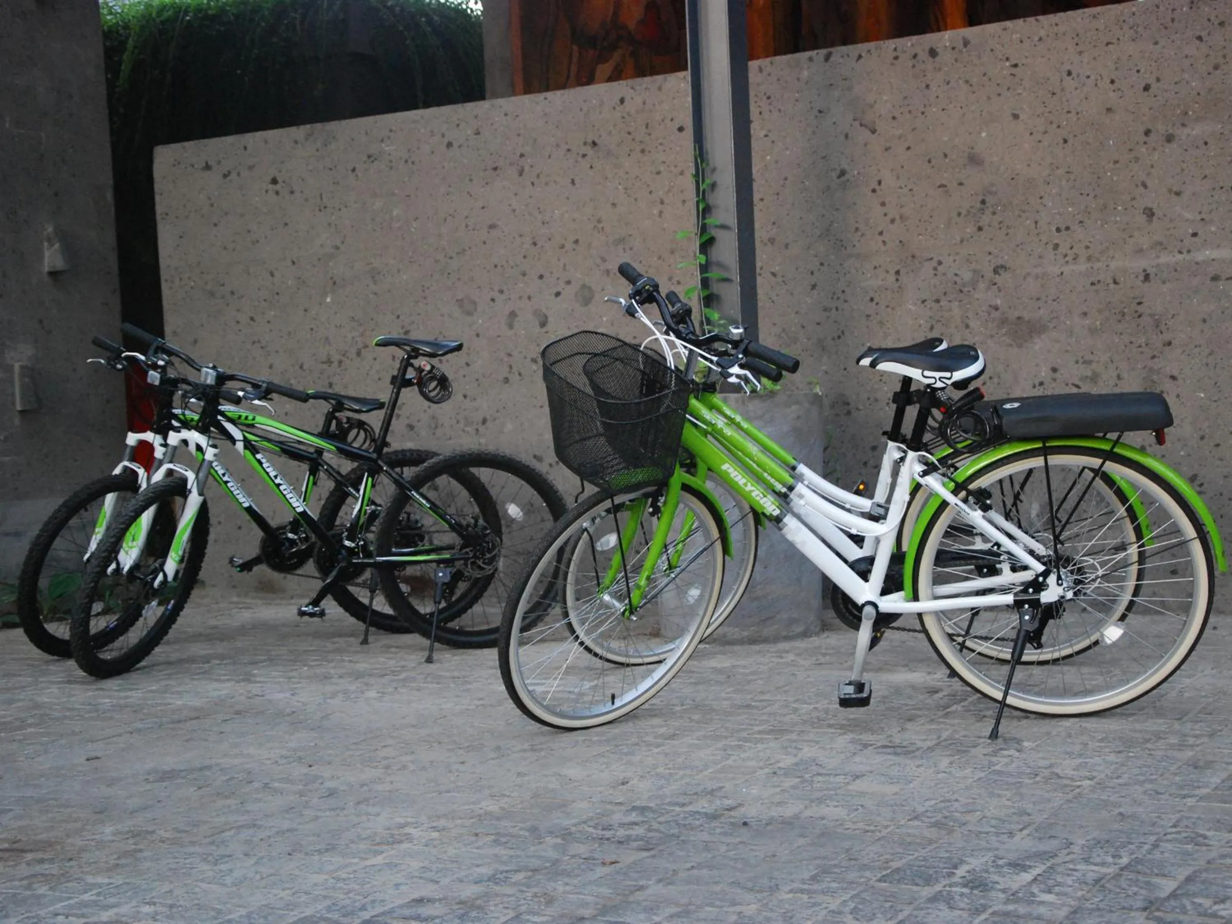 Cycling in The Santai by LifestyleRetreats