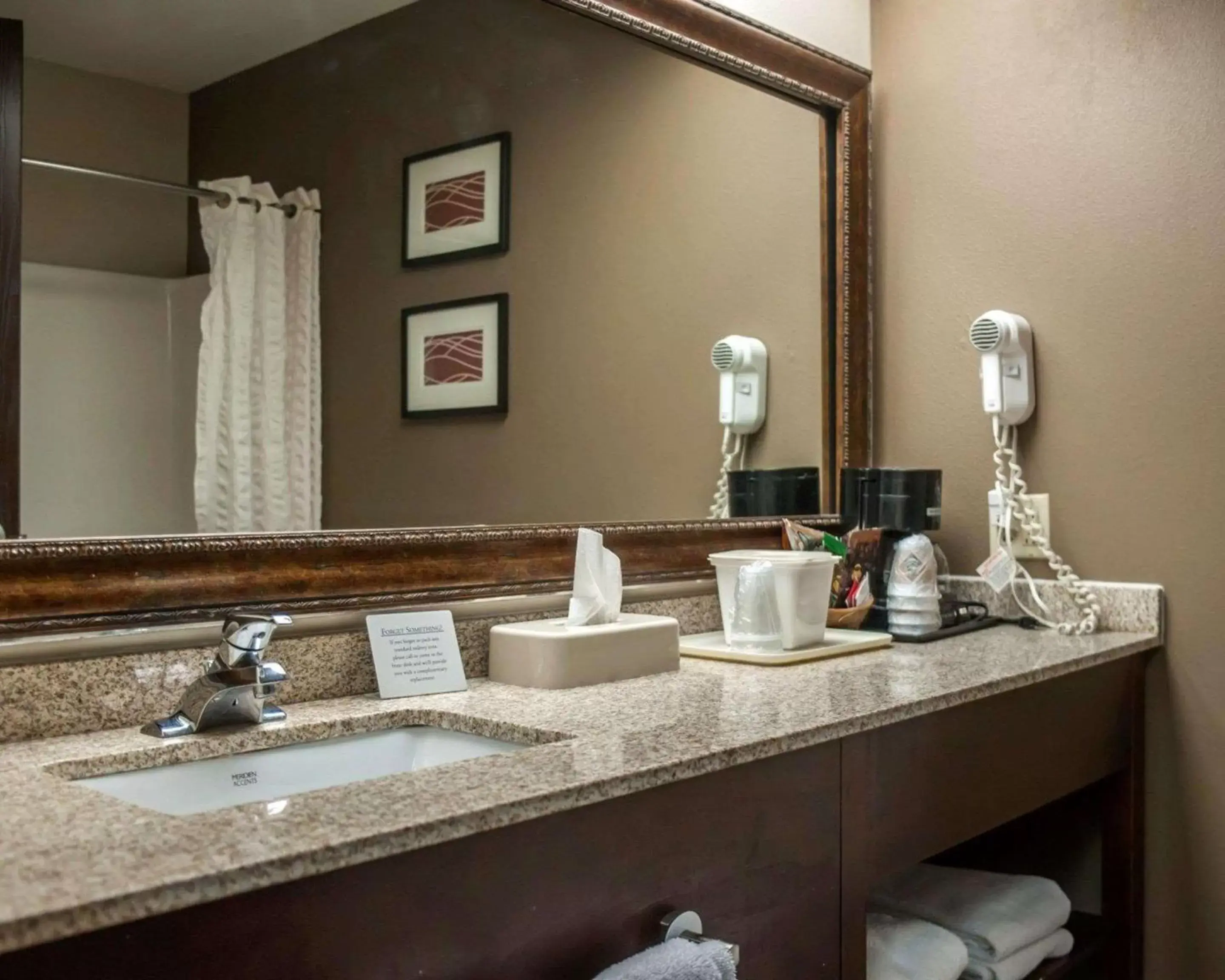 Bathroom in Quality Inn & Suites near St Louis and I-255