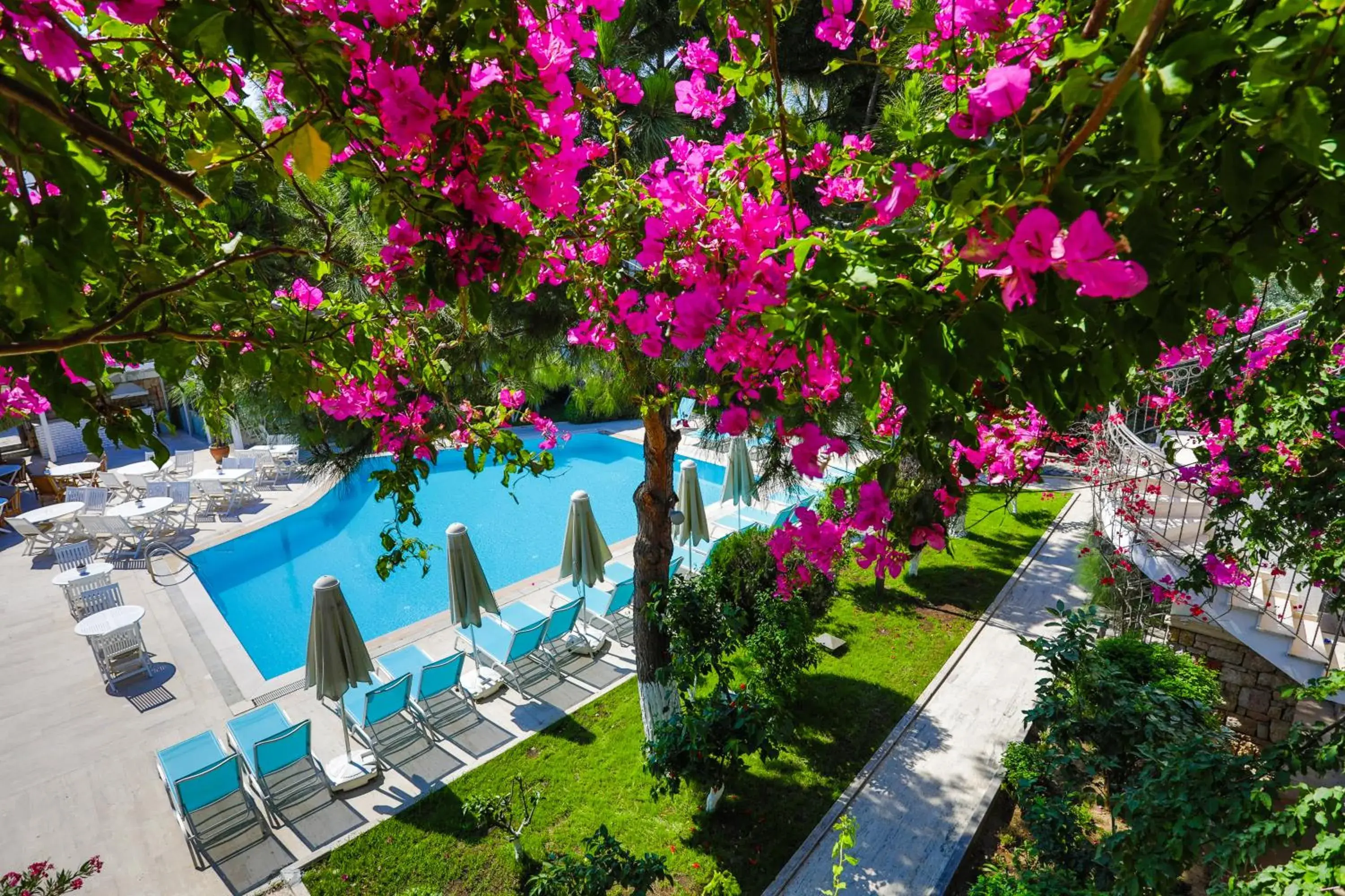 Pool View in Moonshine Hotel & Suites