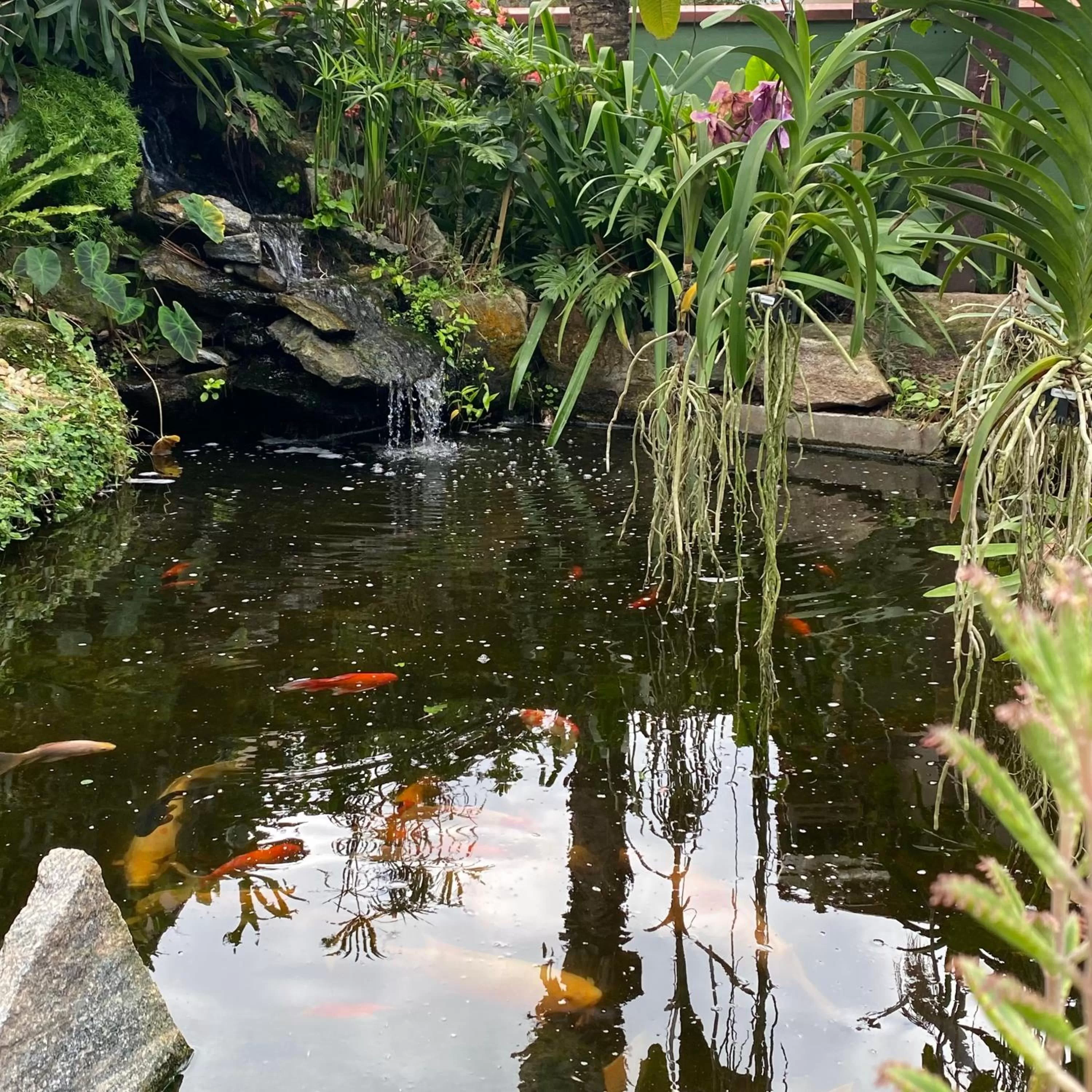 Lake view in Pousada Casa da Praia
