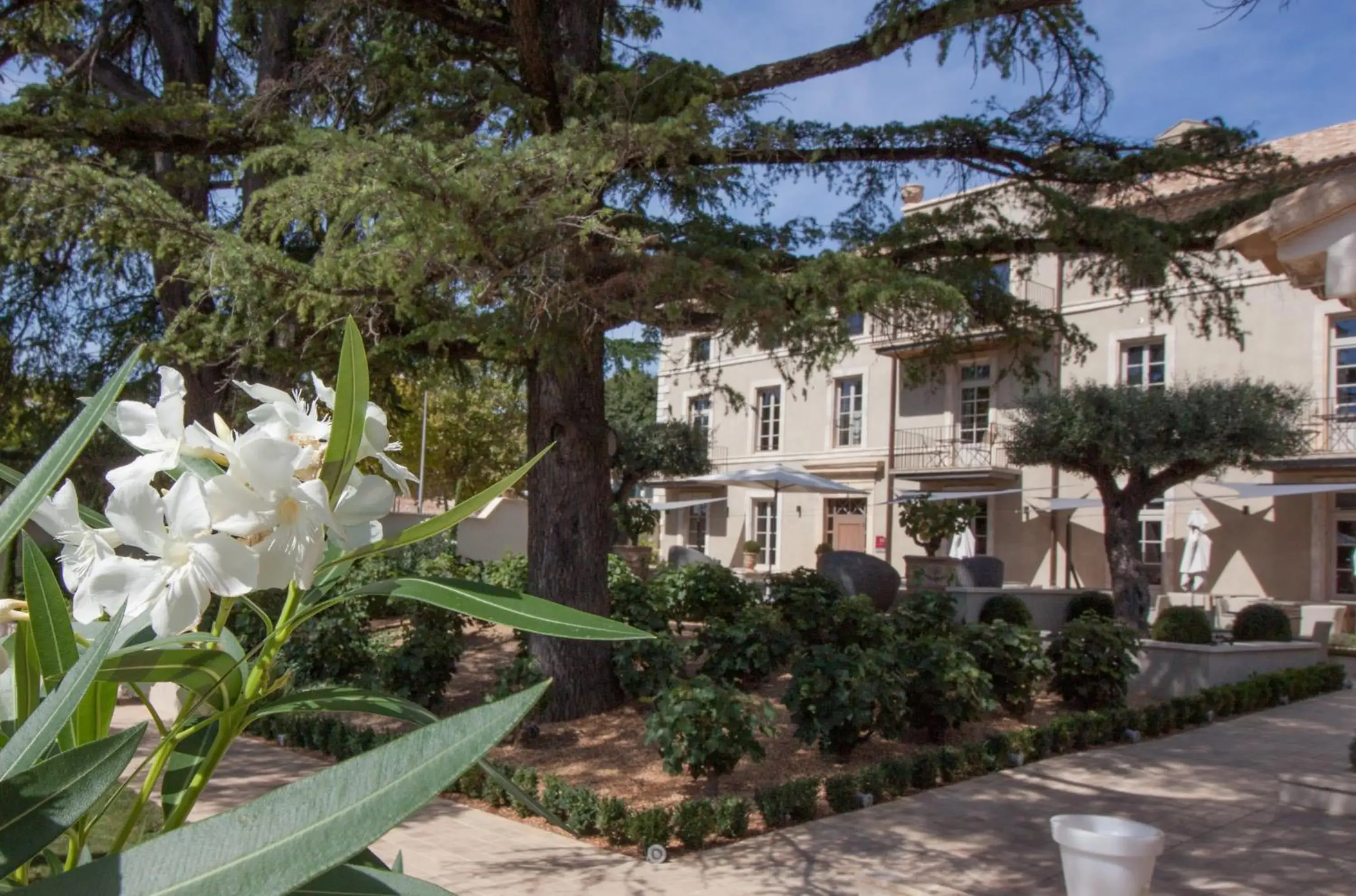 Garden, Property Building in Villa Montesquieu