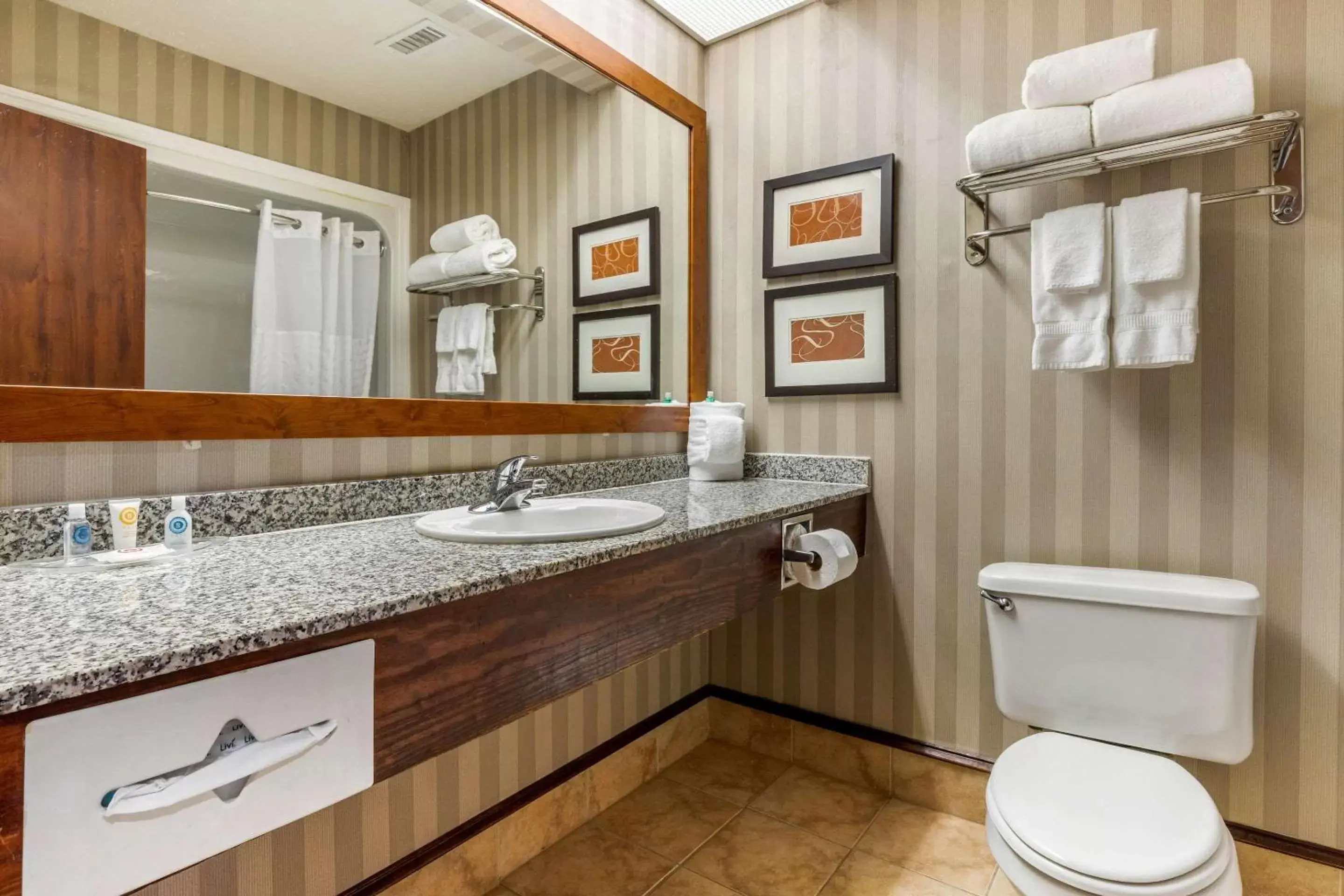 Photo of the whole room, Bathroom in Comfort Inn Summerville - Charleston