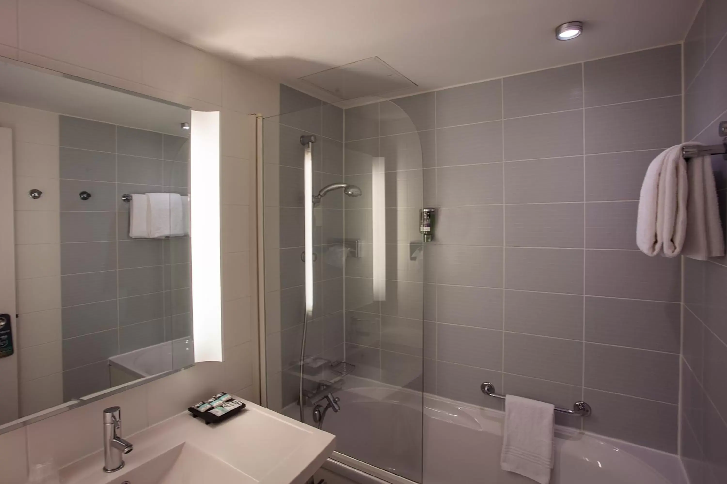 Bathroom in Hotel Mercure Toulouse Centre Compans