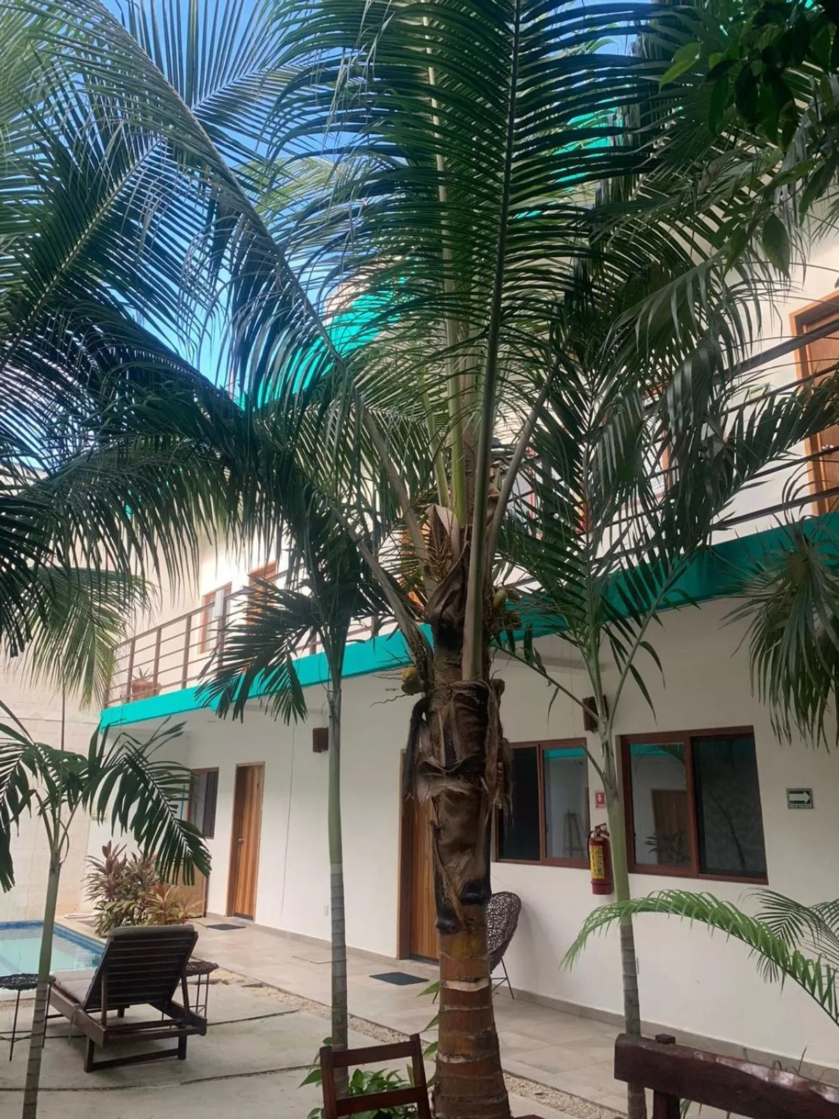 Property building in Los Arcos Hotel - TULUM